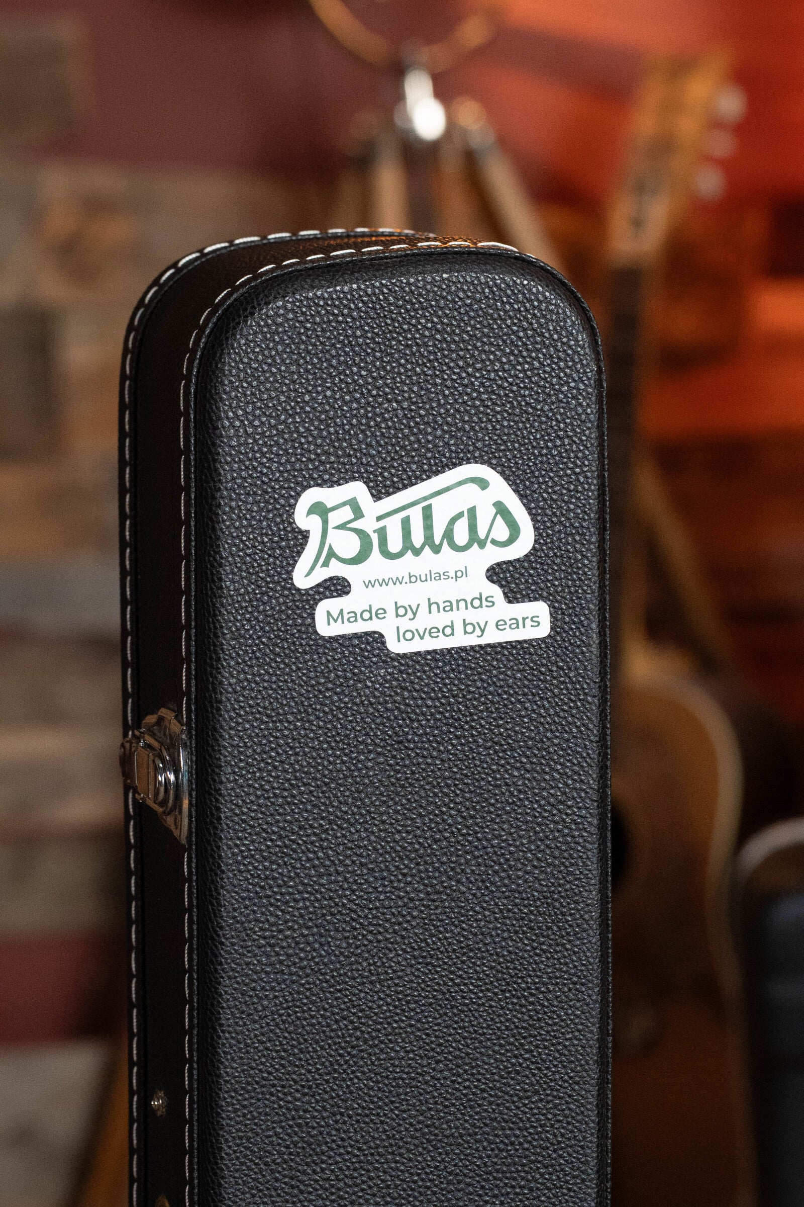 Bulas Echo Valley 5-String Resonator Banjo #0575