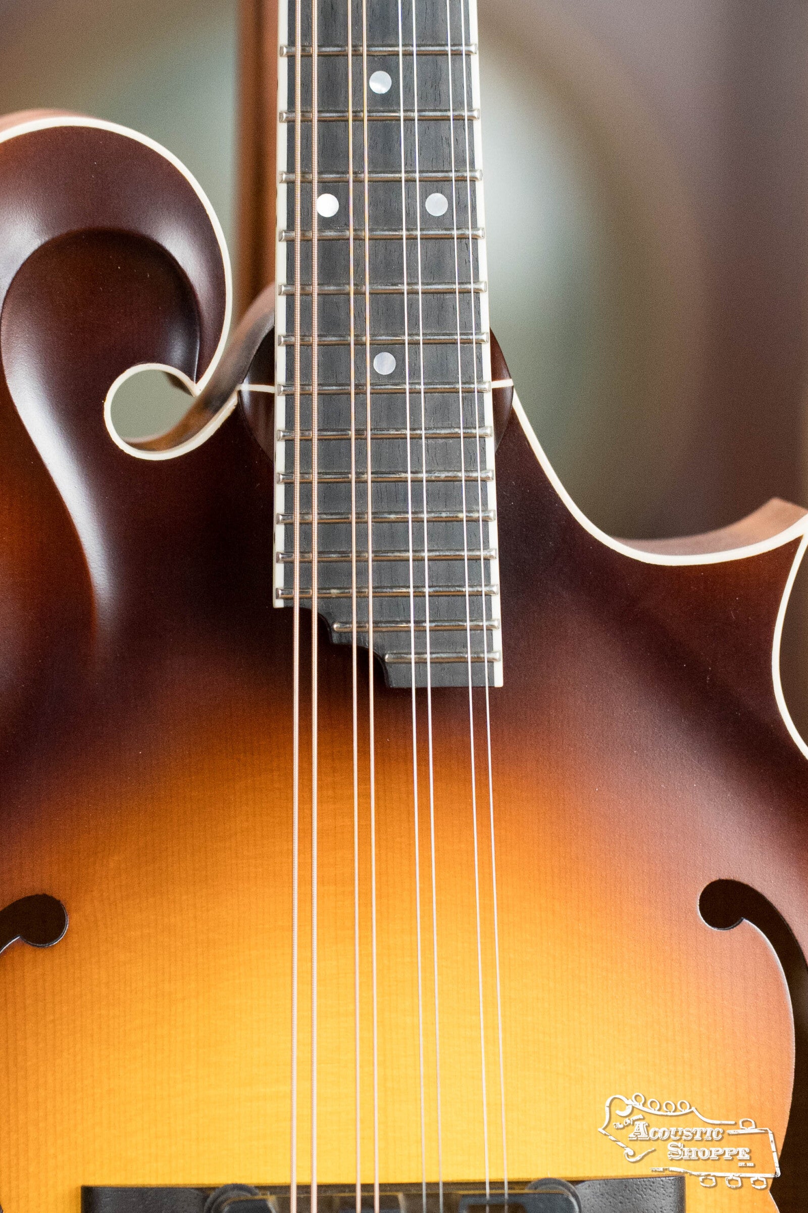 Bulas Carpathian Spruce/Curly Maple Tobacco Sunburst F-Style Mandolin #0793