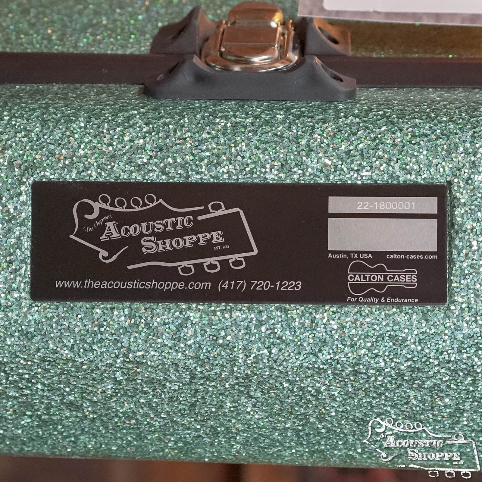 Calton Smooth Glitter Finish Sea Green Exterior/Aqua Interior Dreadnought D-18 Case w/ Backpack Straps #0001