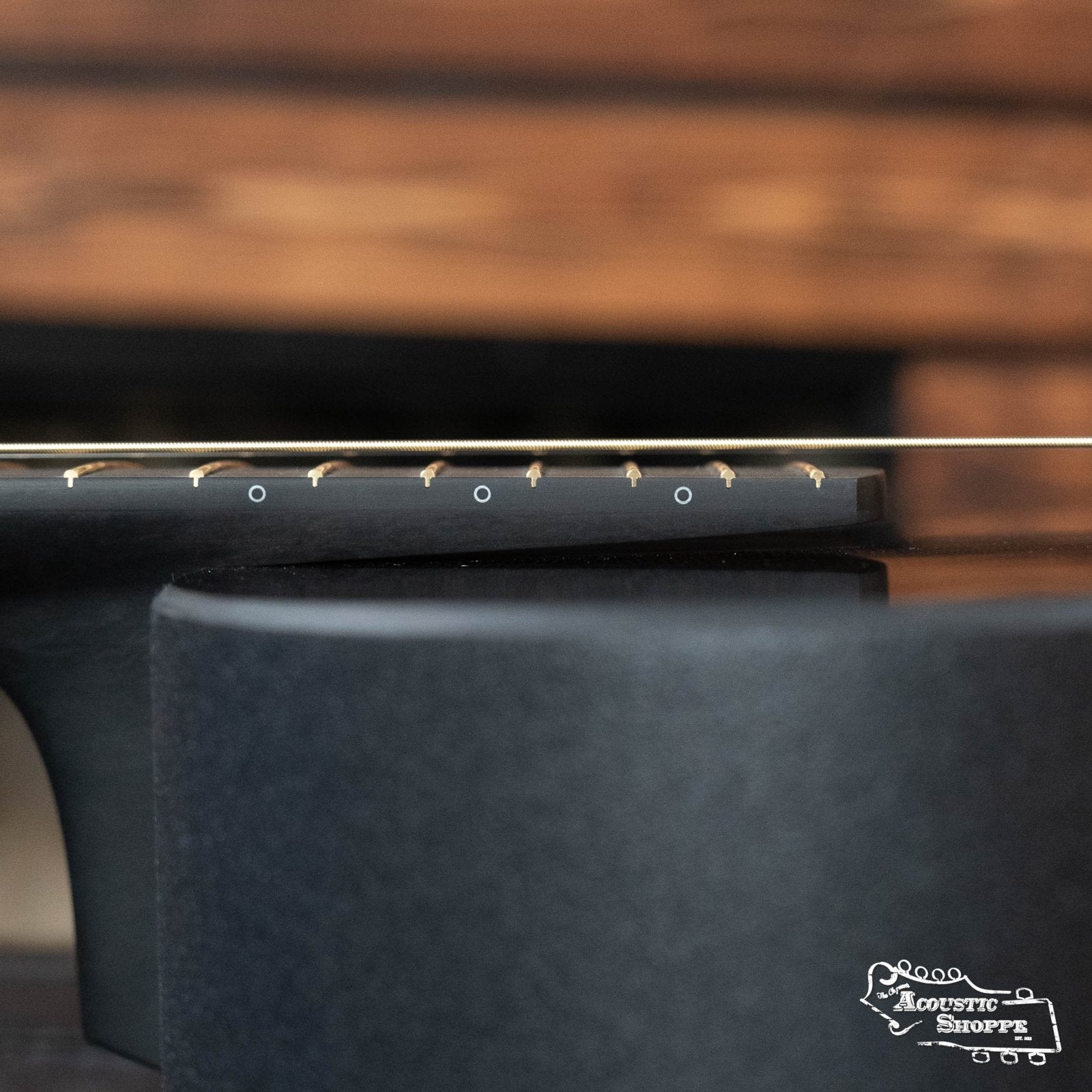 McPherson Carbon Fiber Touring Series Blackout Honeycomb Guitar w/L.R. Baggs Element Pickup #2106