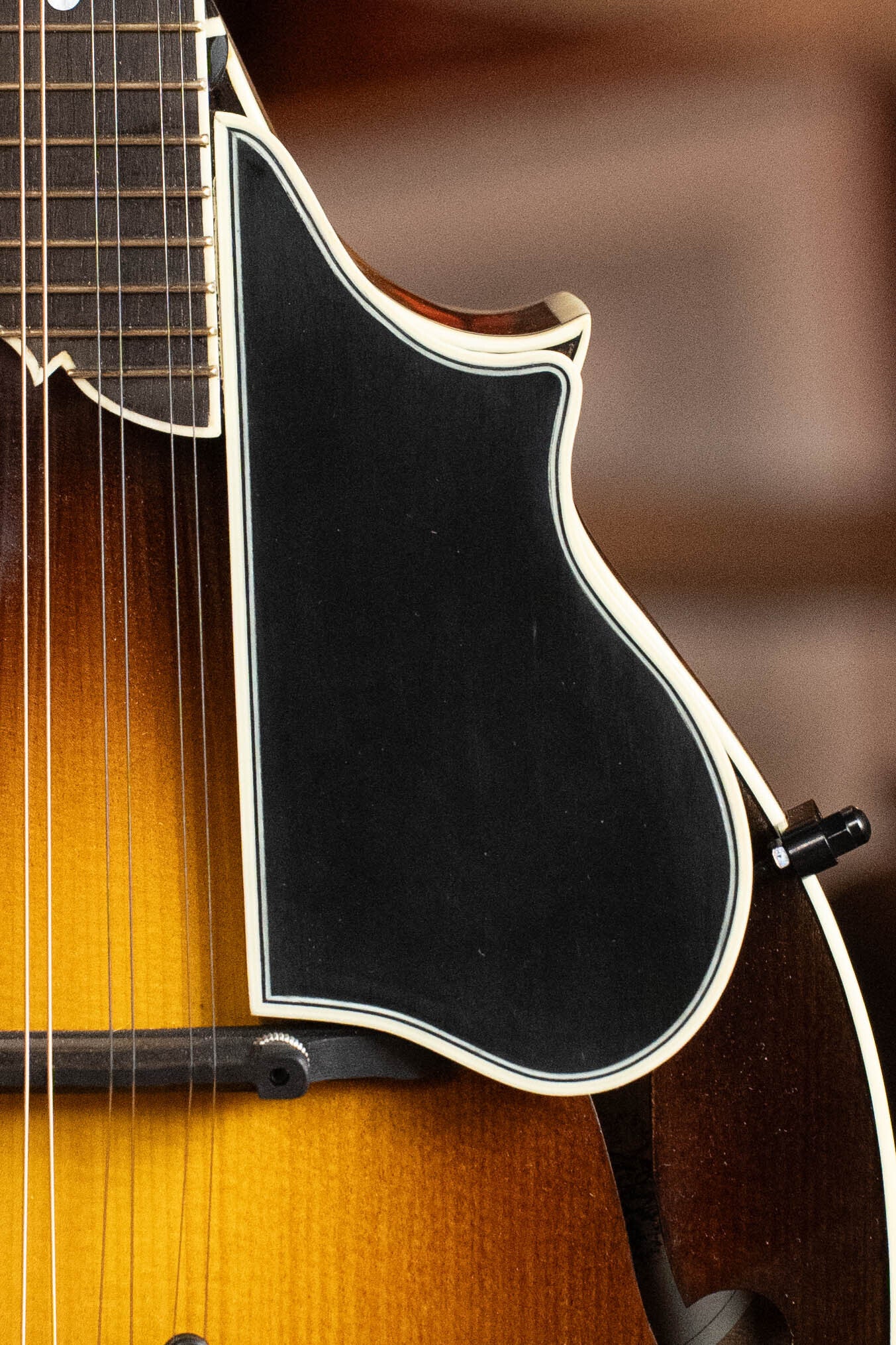 Cedar Mountain Lewandowski 2025 Red Spruce/Big Leaf Maple F-Style Mandolin w/Tobacco Sunburst #5080