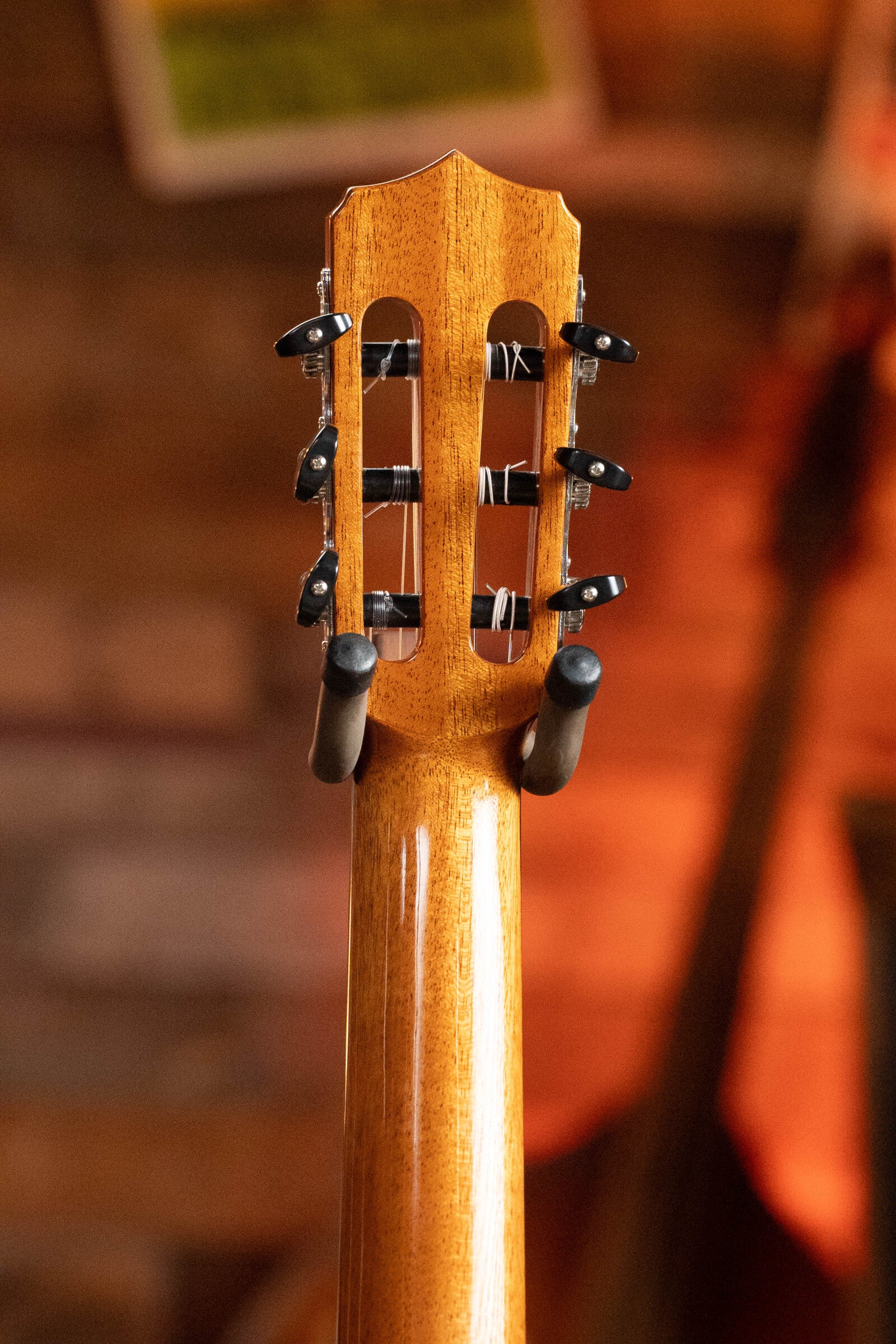 Cordoba C10 Crossover Spruce/Rosewood Nylon String Acoustic Guitar #4147