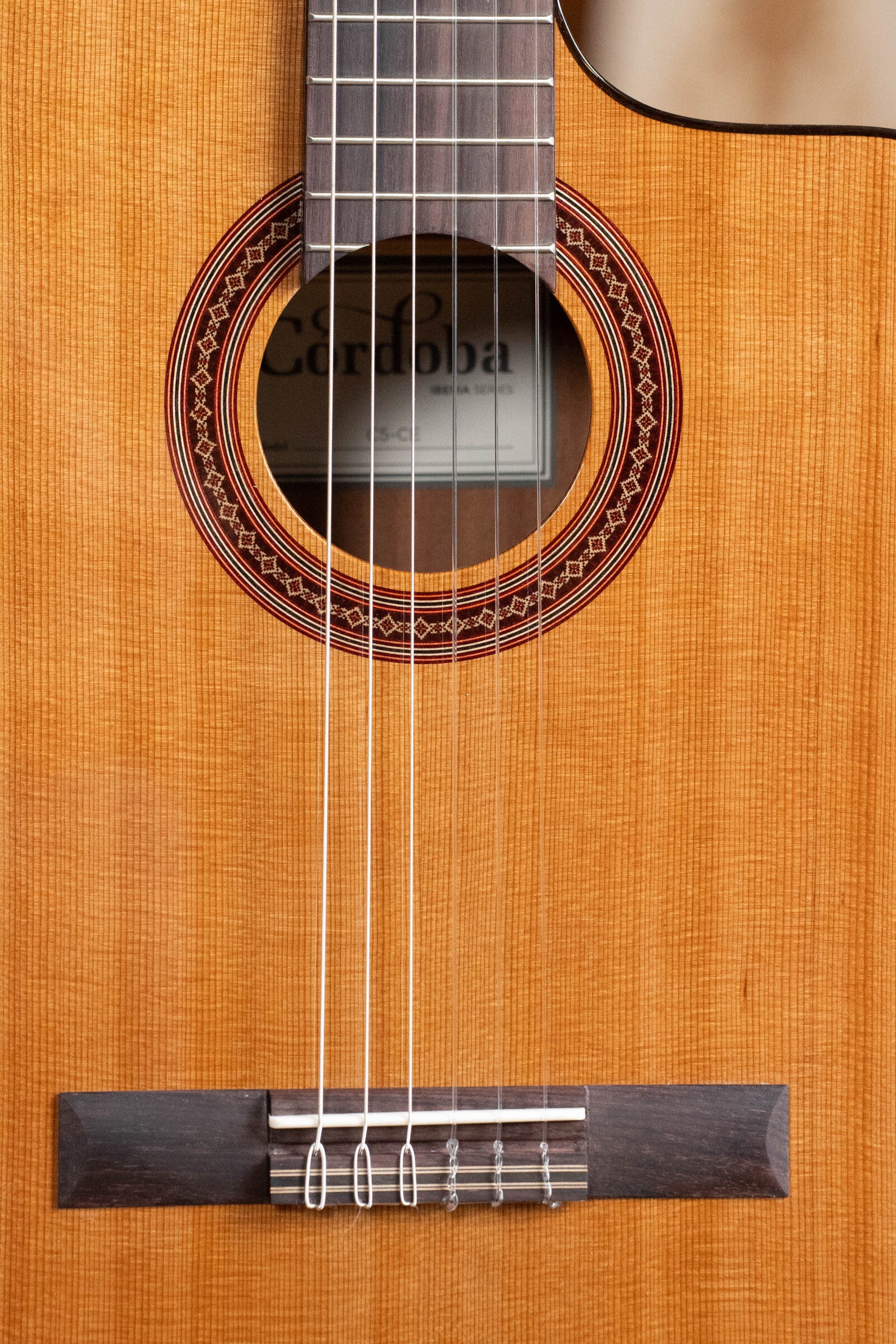 Cordoba C5-CE Red Cedar/Mahogany Nylon String Guitar w/Fishman Pickup #4015