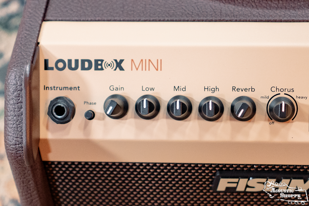 Fishman PRO-LBT-500 Loudbox Mini