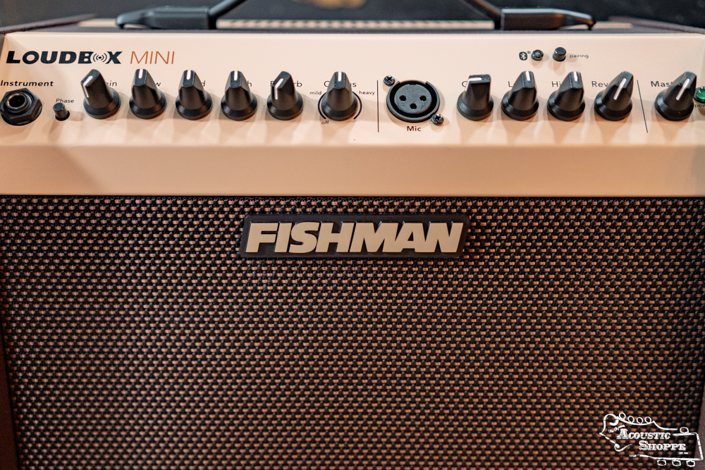 Fishman PRO-LBT-500 Loudbox Mini