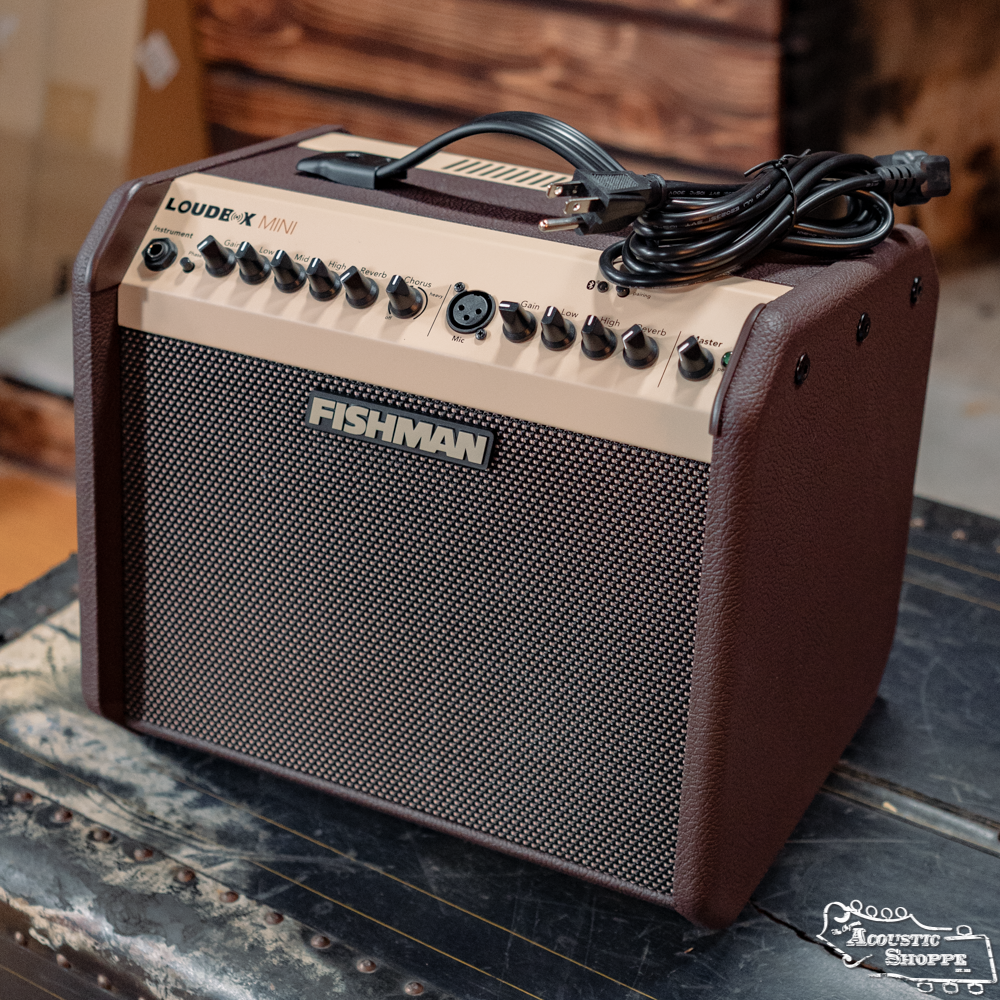 Fishman PRO-LBT-500 Loudbox Mini
