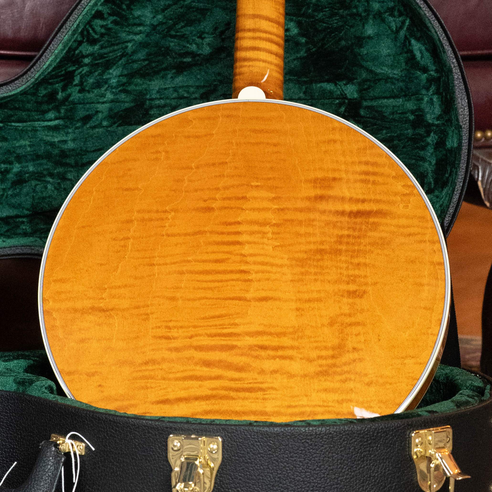 Deering Calico 5 String Curly Maple Resonator Banjo w/Spikes Installed #BC03