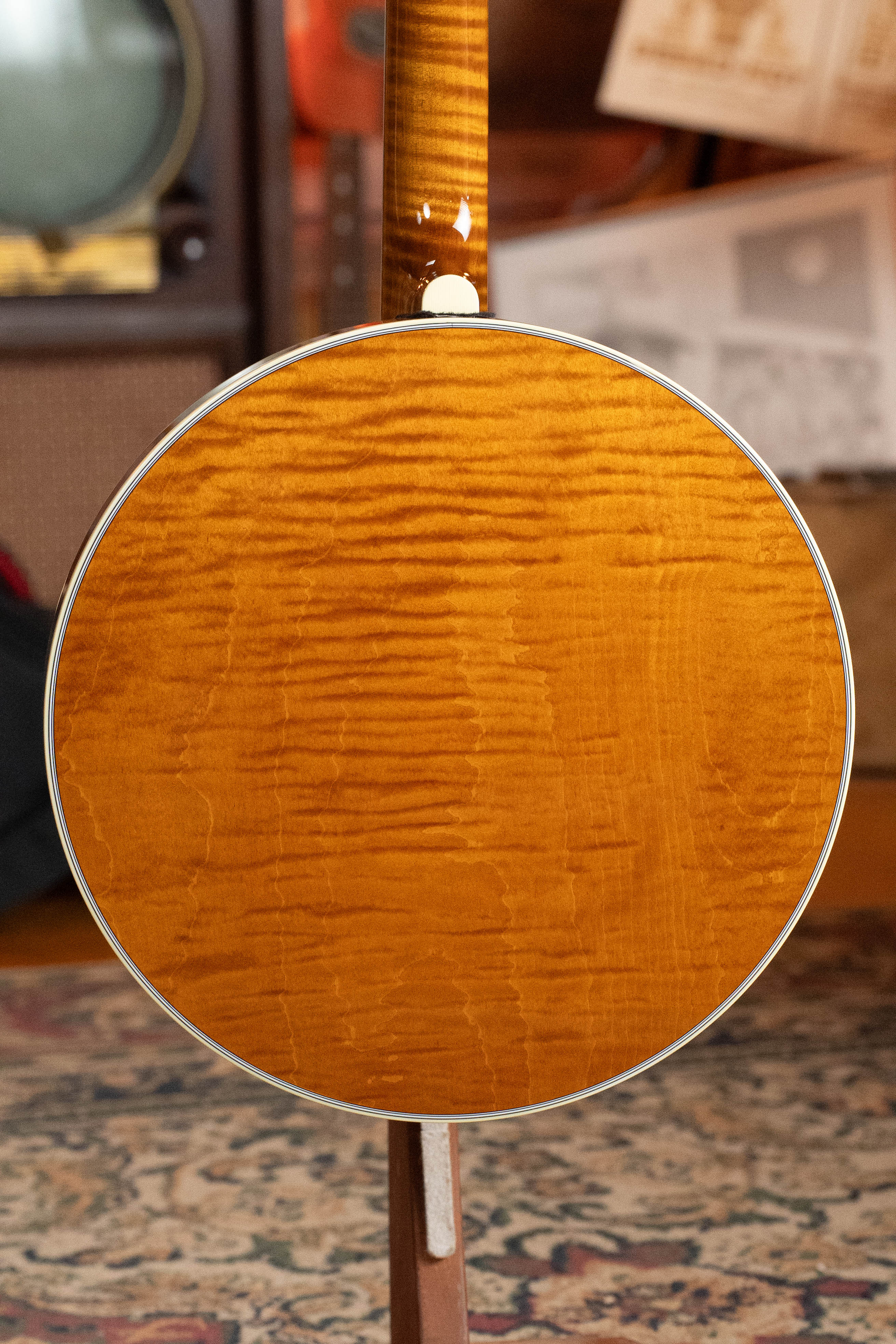 Deering Calico 5 String Curly Maple Resonator Banjo w/Spikes Installed #BC03