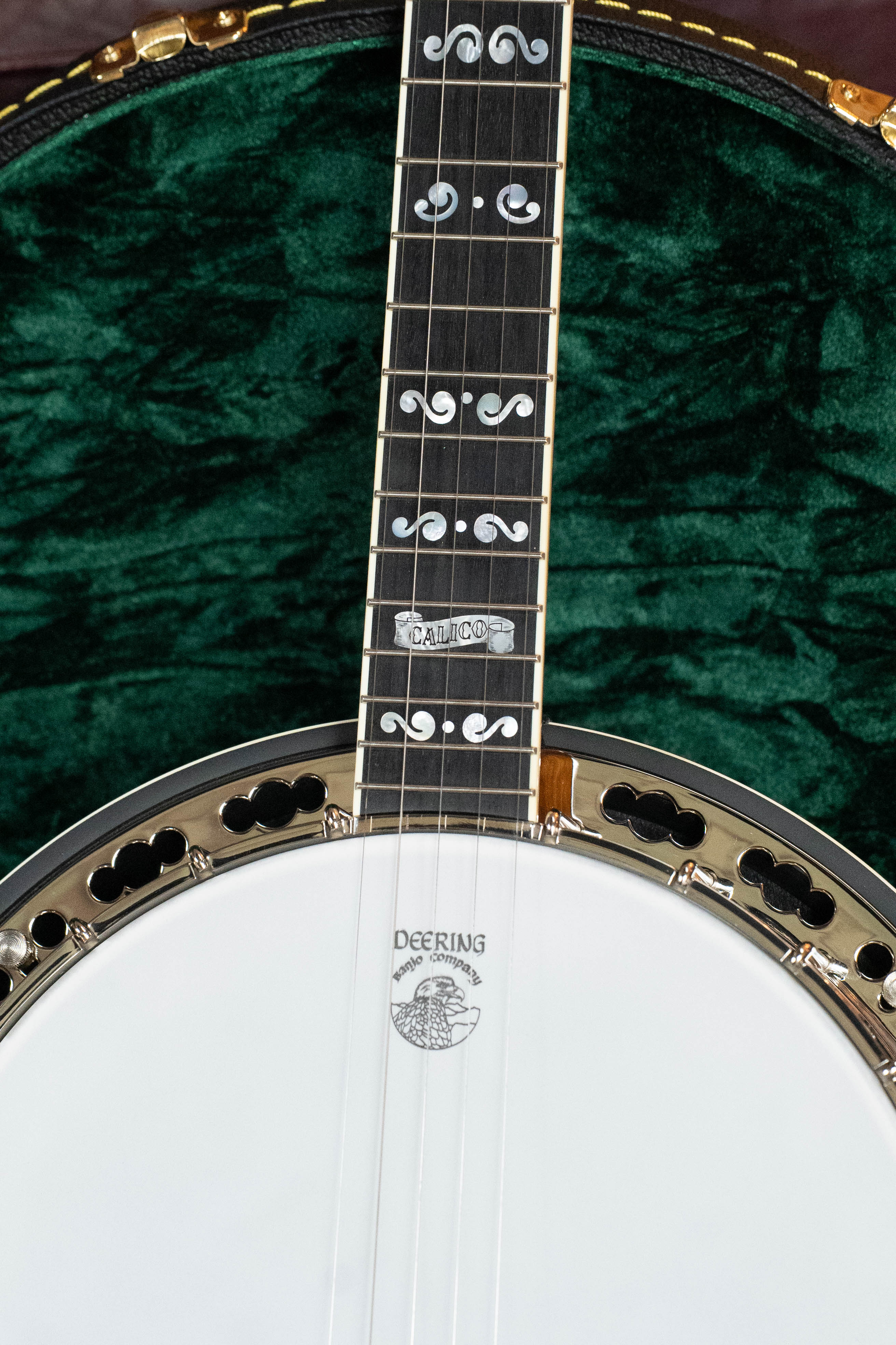 Deering Calico 5 String Curly Maple Resonator Banjo w/Spikes Installed #BC03