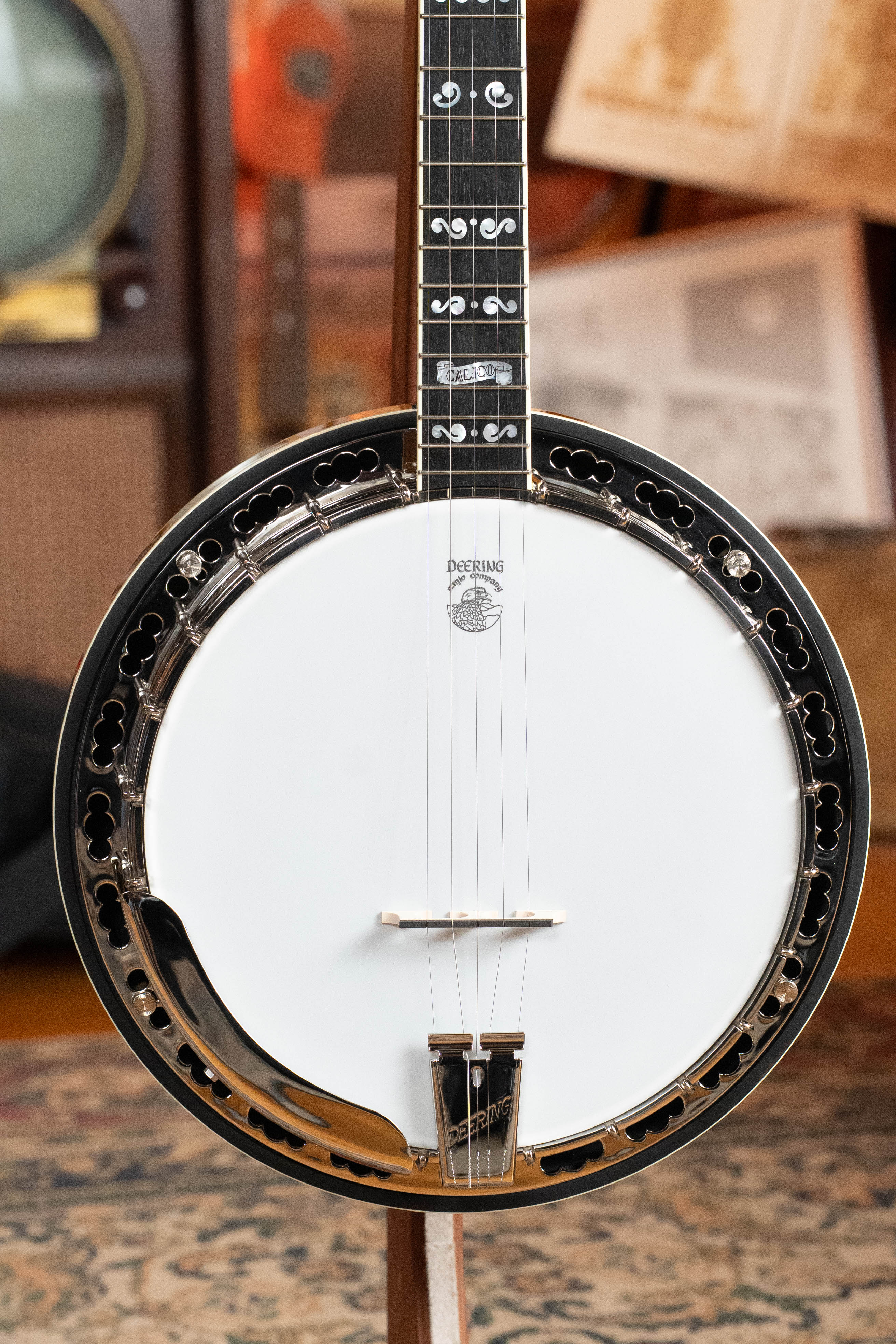 Deering Calico 5 String Curly Maple Resonator Banjo w/Spikes Installed #BC03