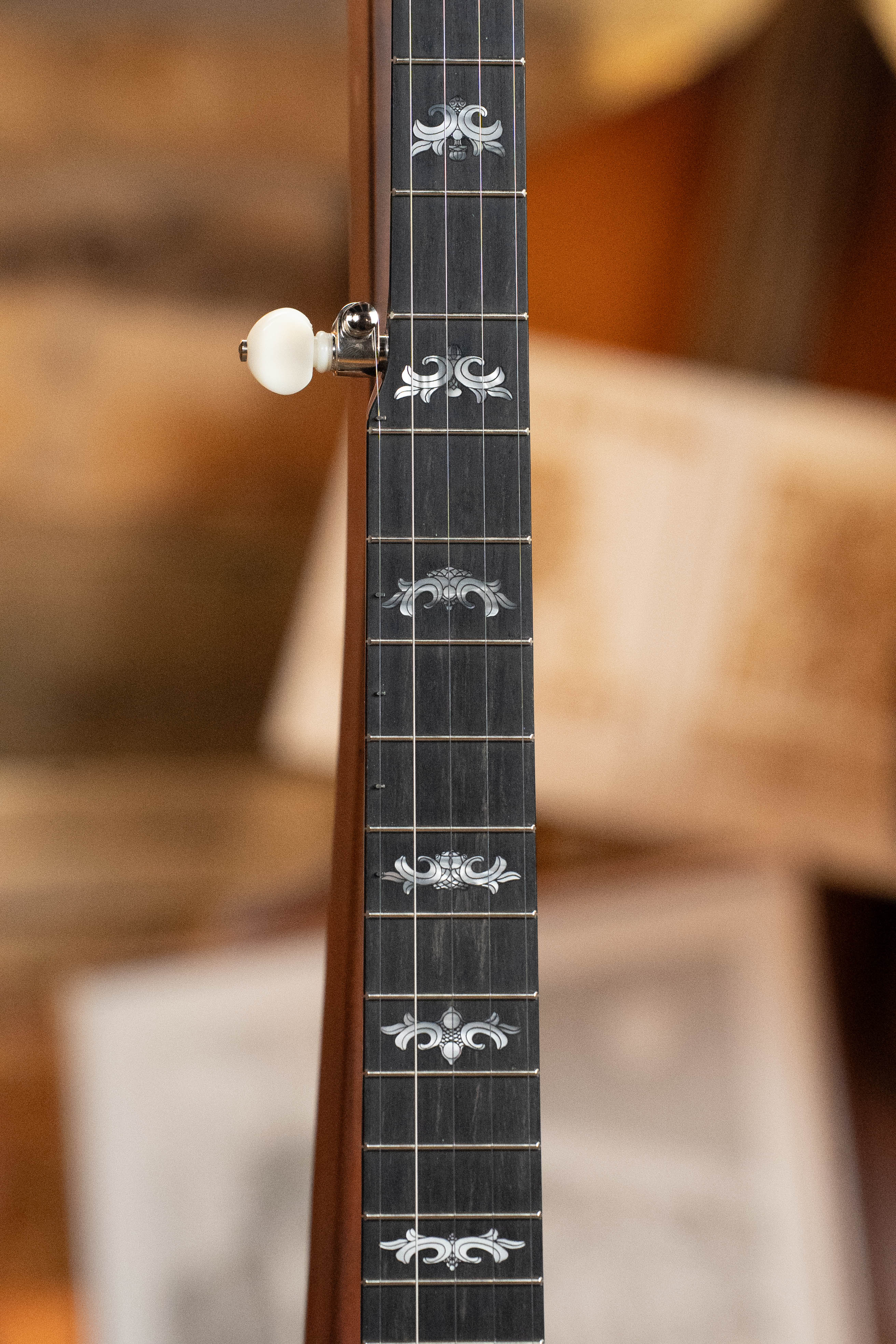 Deering Eagle II 5-String Resonator Banjo w/Spikes Installed #2259