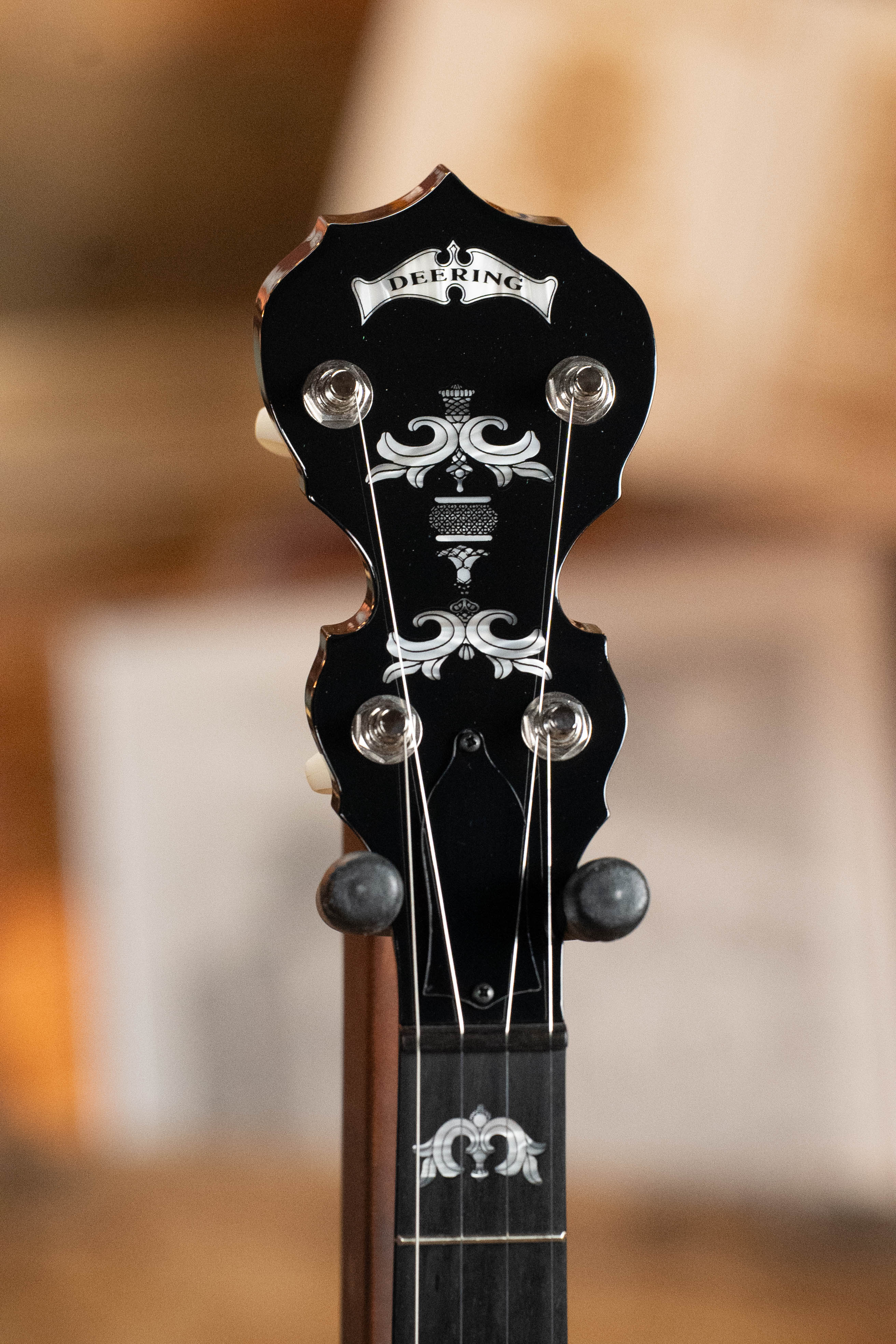 Deering Eagle II 5-String Resonator Banjo w/Spikes Installed #2259