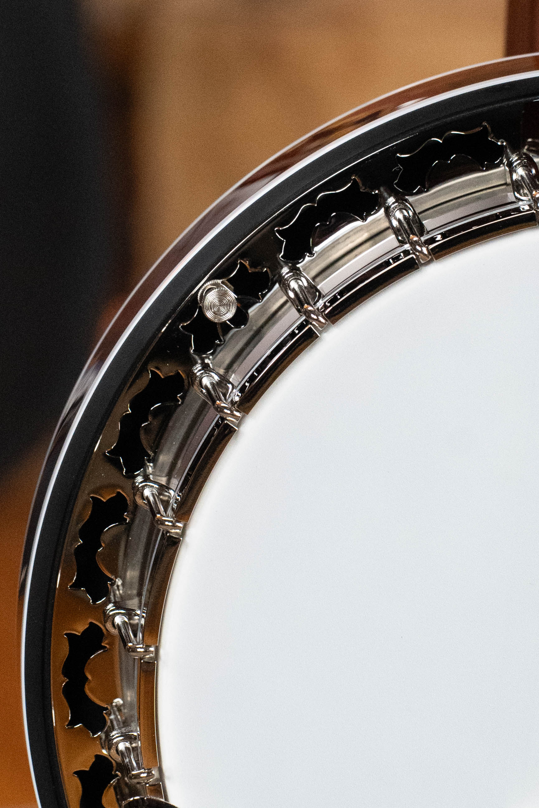 Deering Eagle II 5-String Resonator Banjo w/Spikes Installed #2259