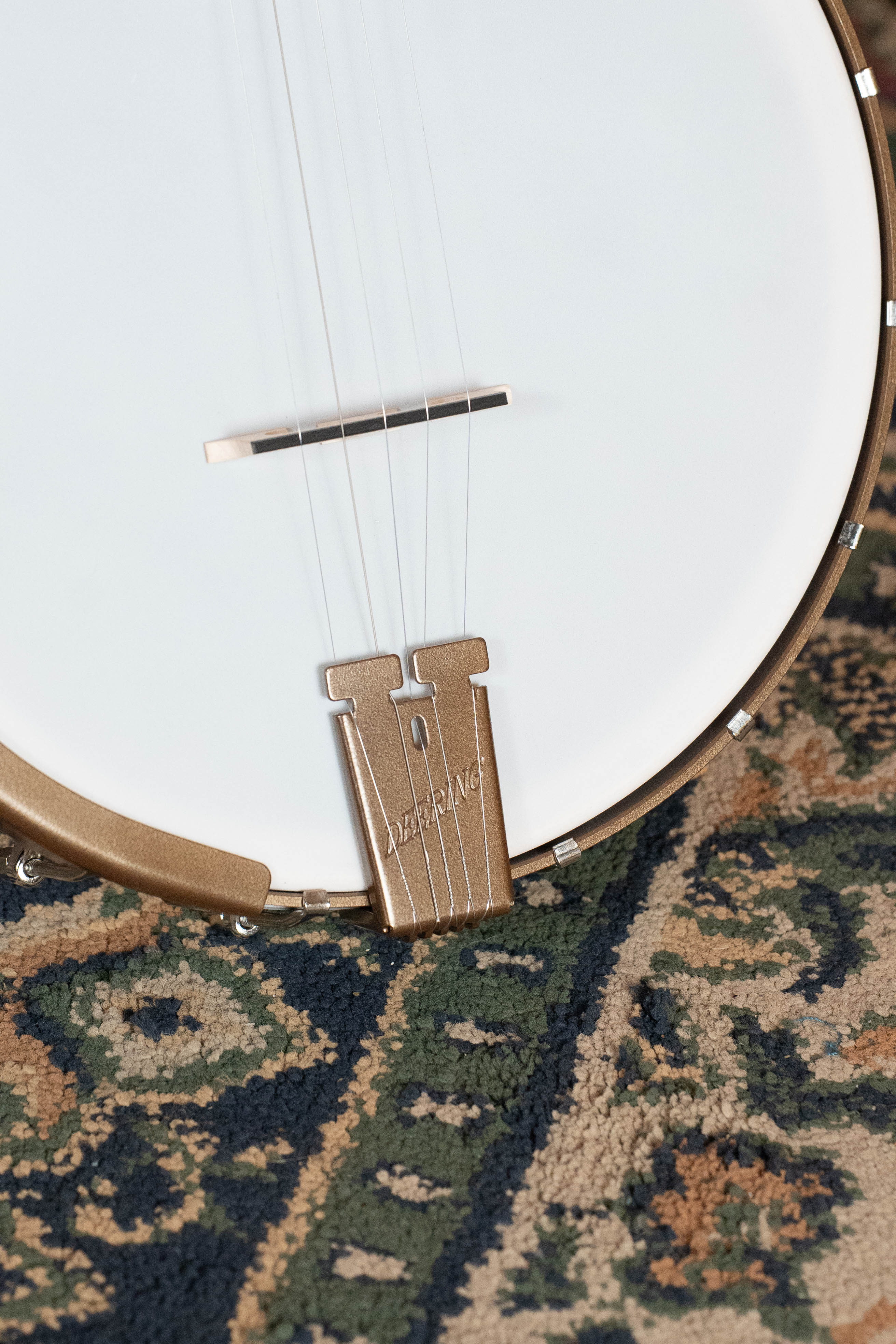 Deering Goodtime 5 String Open Back Banjo #2515