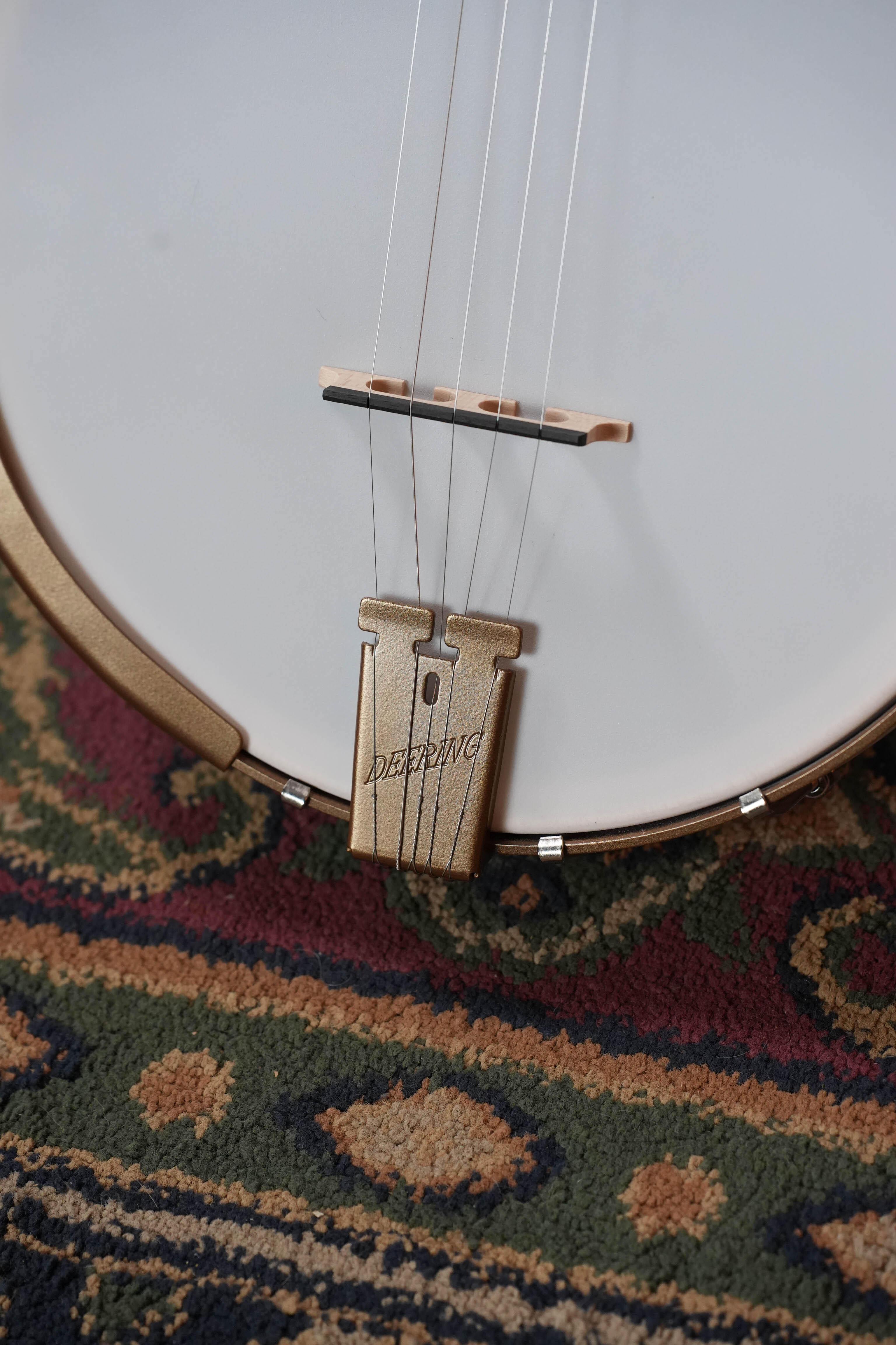 Deering Goodtime 5 String Open Back Banjo #6267