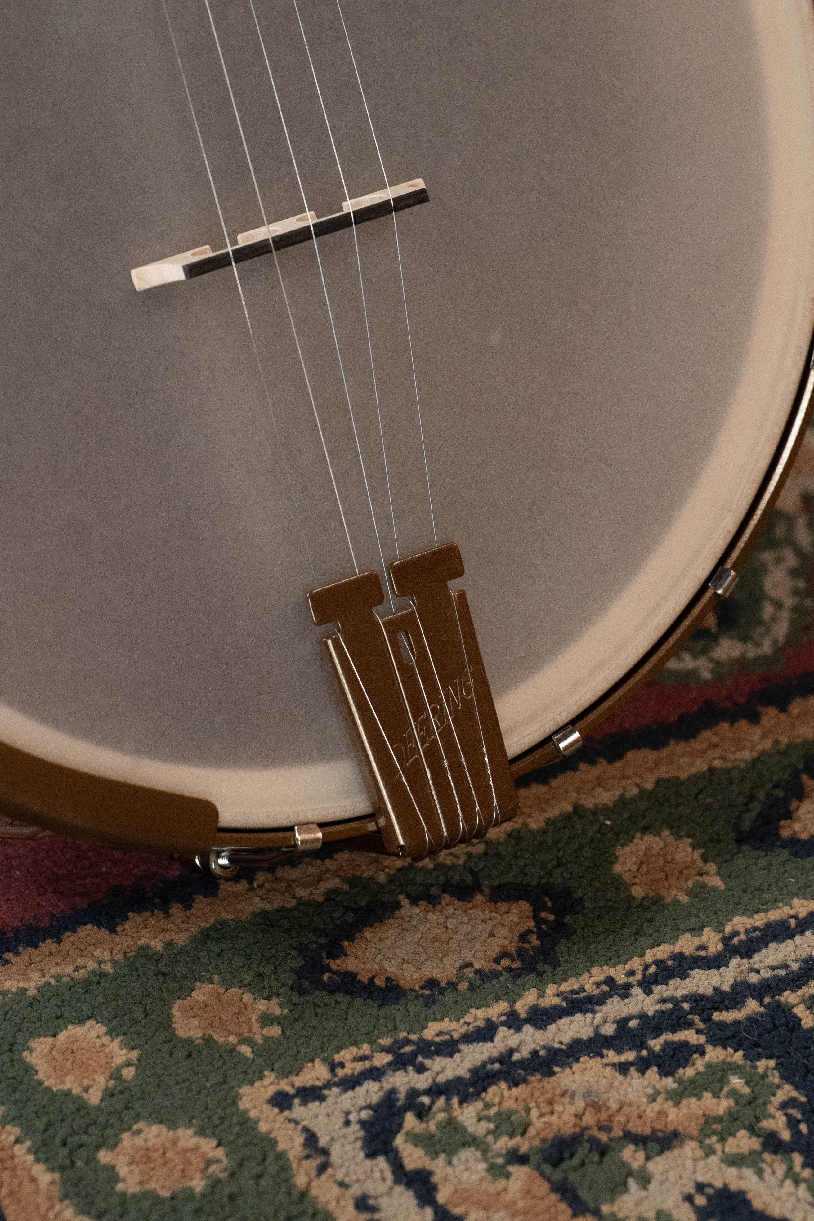 Deering Goodtime Americana 5-String Open Back Banjo #1256