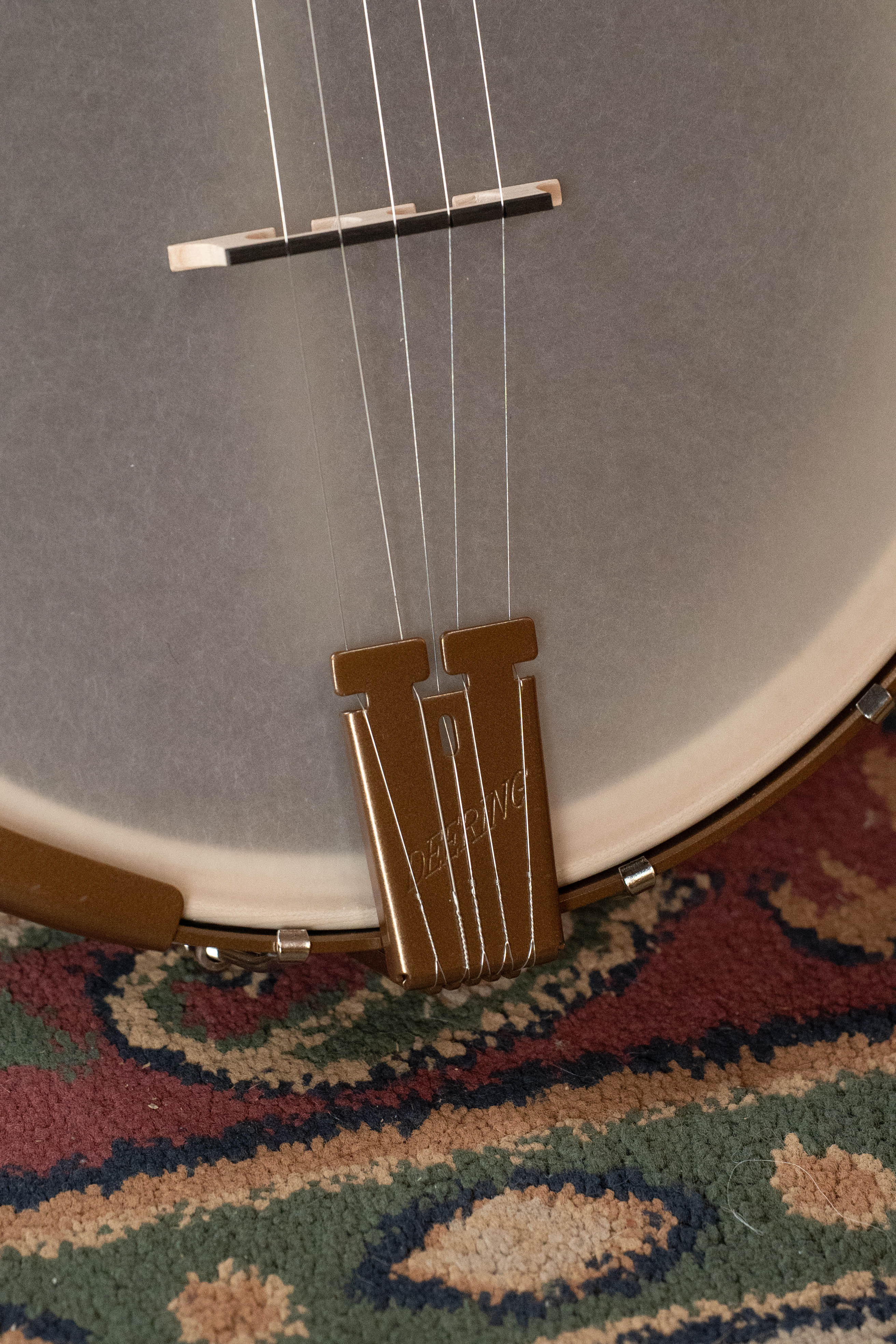 Deering Goodtime Americana 5-String Open Back Banjo #4258