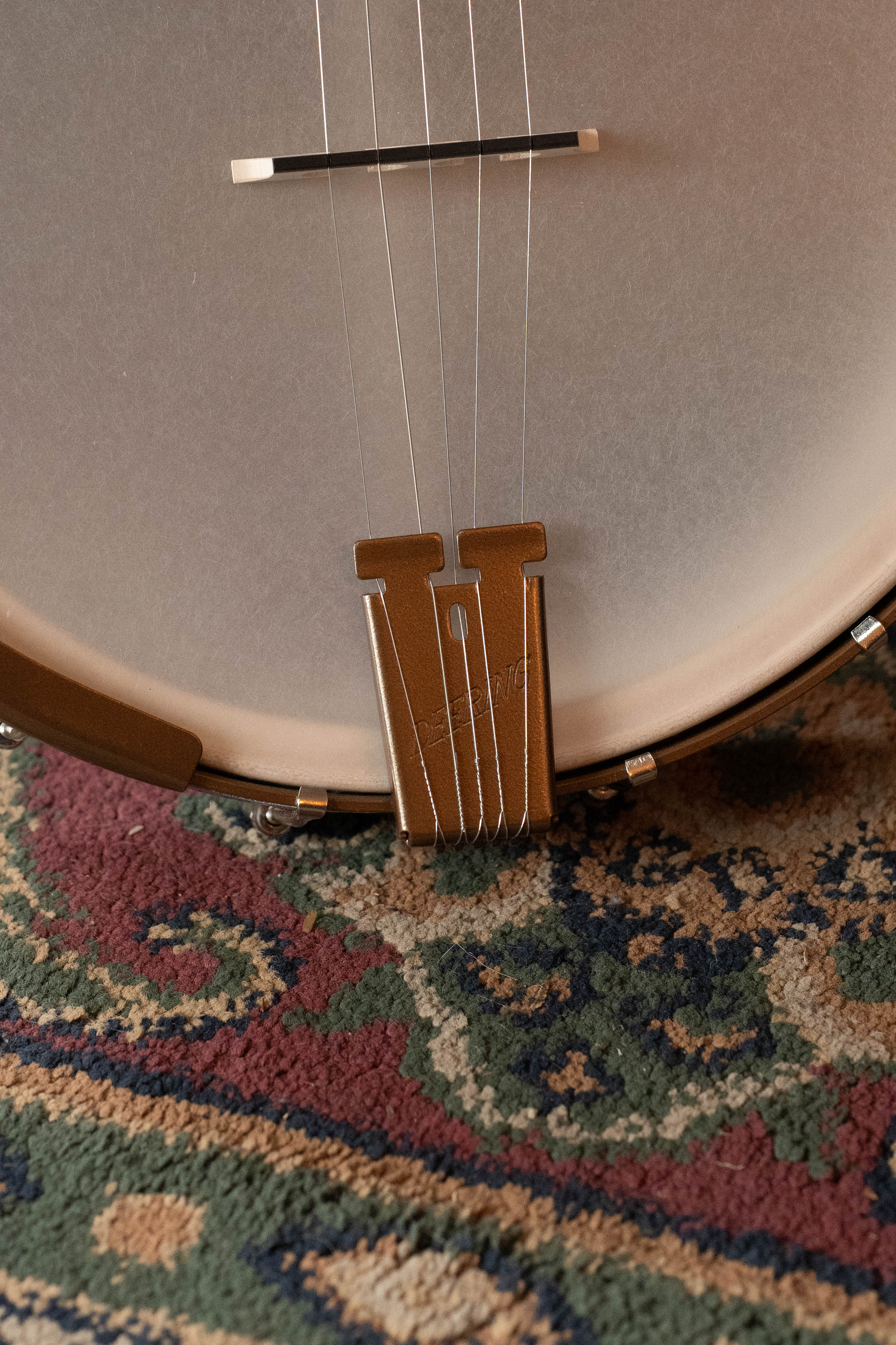 Deering Goodtime Americana 5-String Open Back Banjo #7256