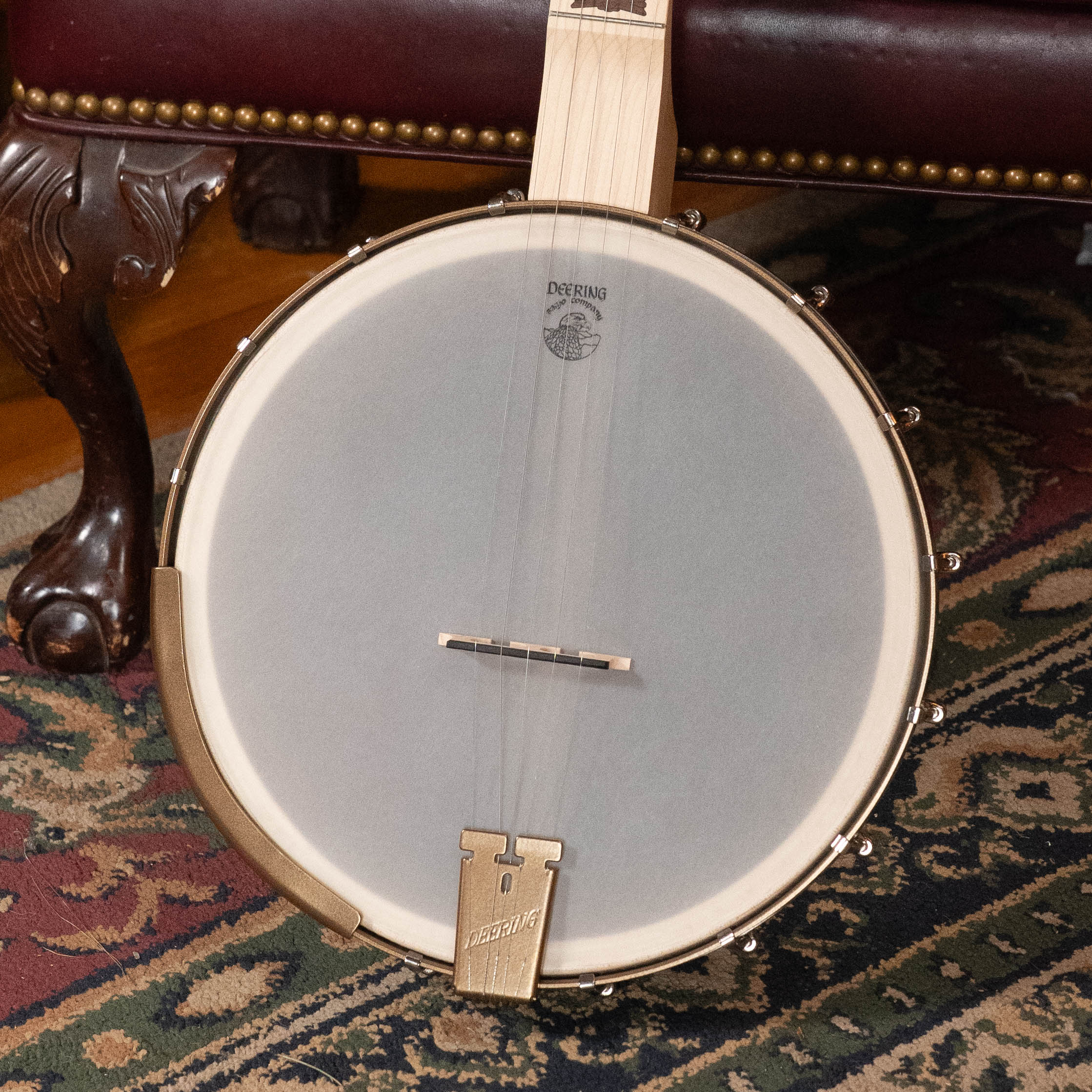 Deering Goodtime Americana 5-String Open Back Banjo w/Scooped Neck and Spikes Installed #3253