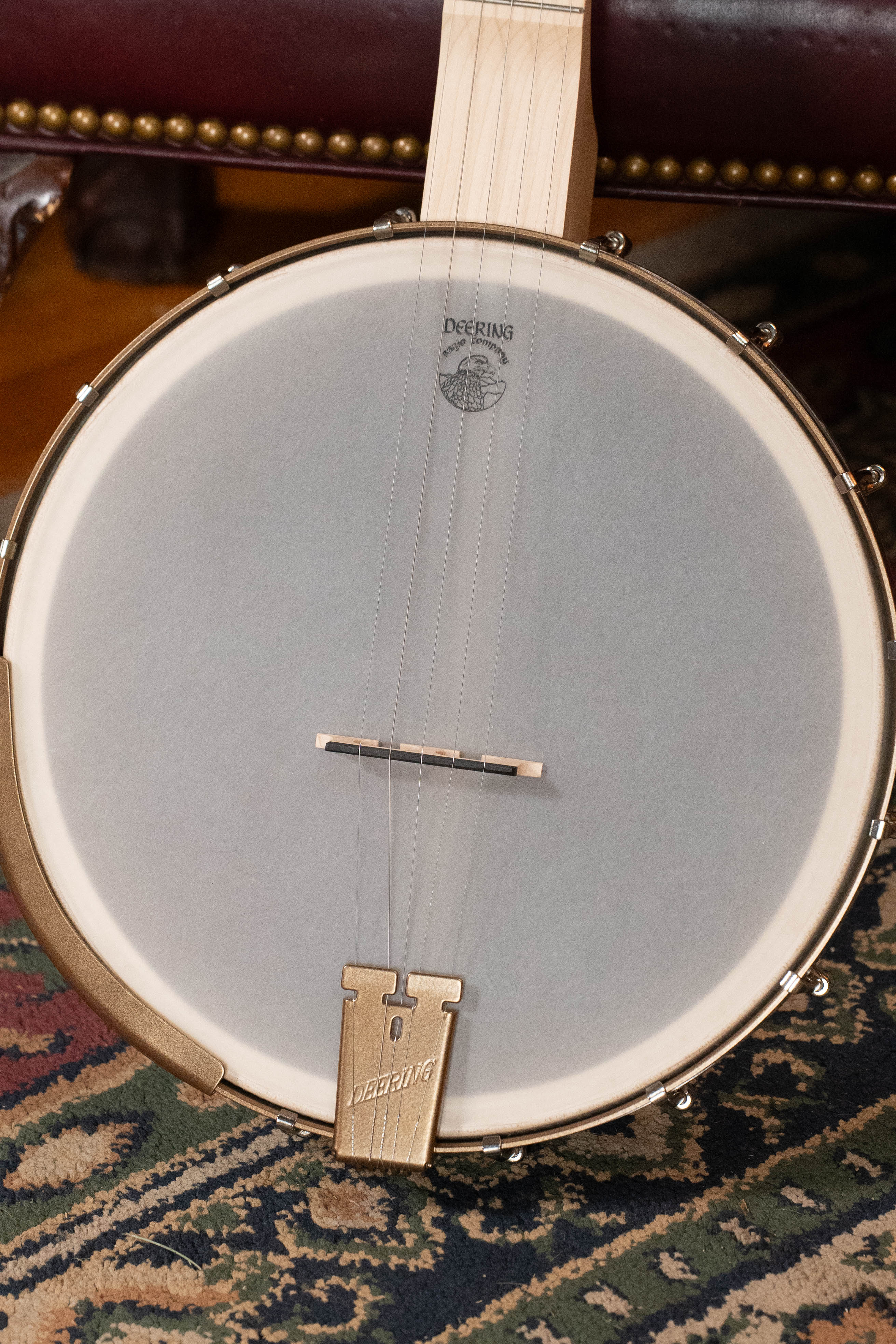 Deering Goodtime Americana 5-String Open Back Banjo w/Scooped Neck and Spikes Installed #3253