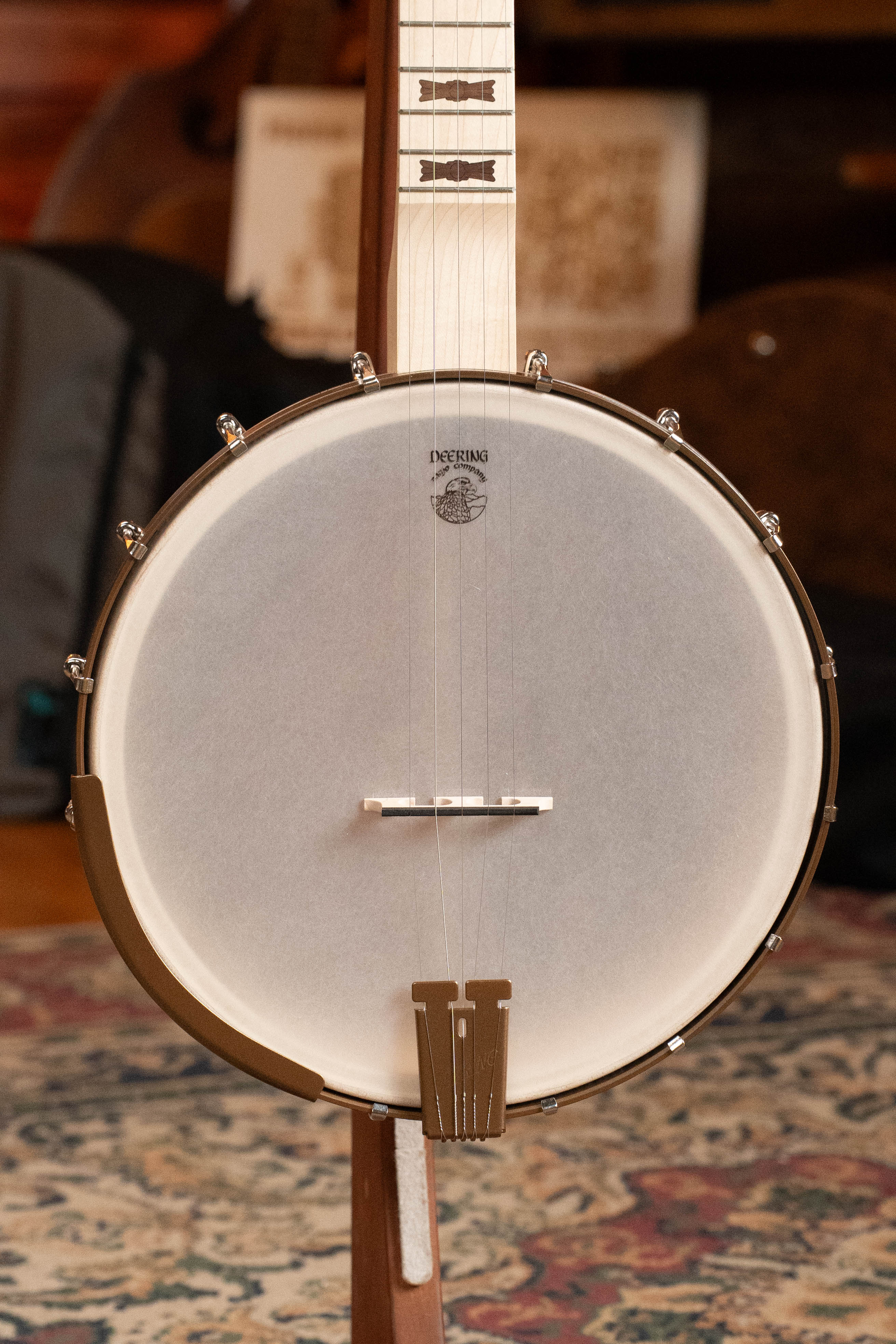 Deering Goodtime Americana 5-String Open Back Banjo w/Scooped Neck and Spikes Installed #3253