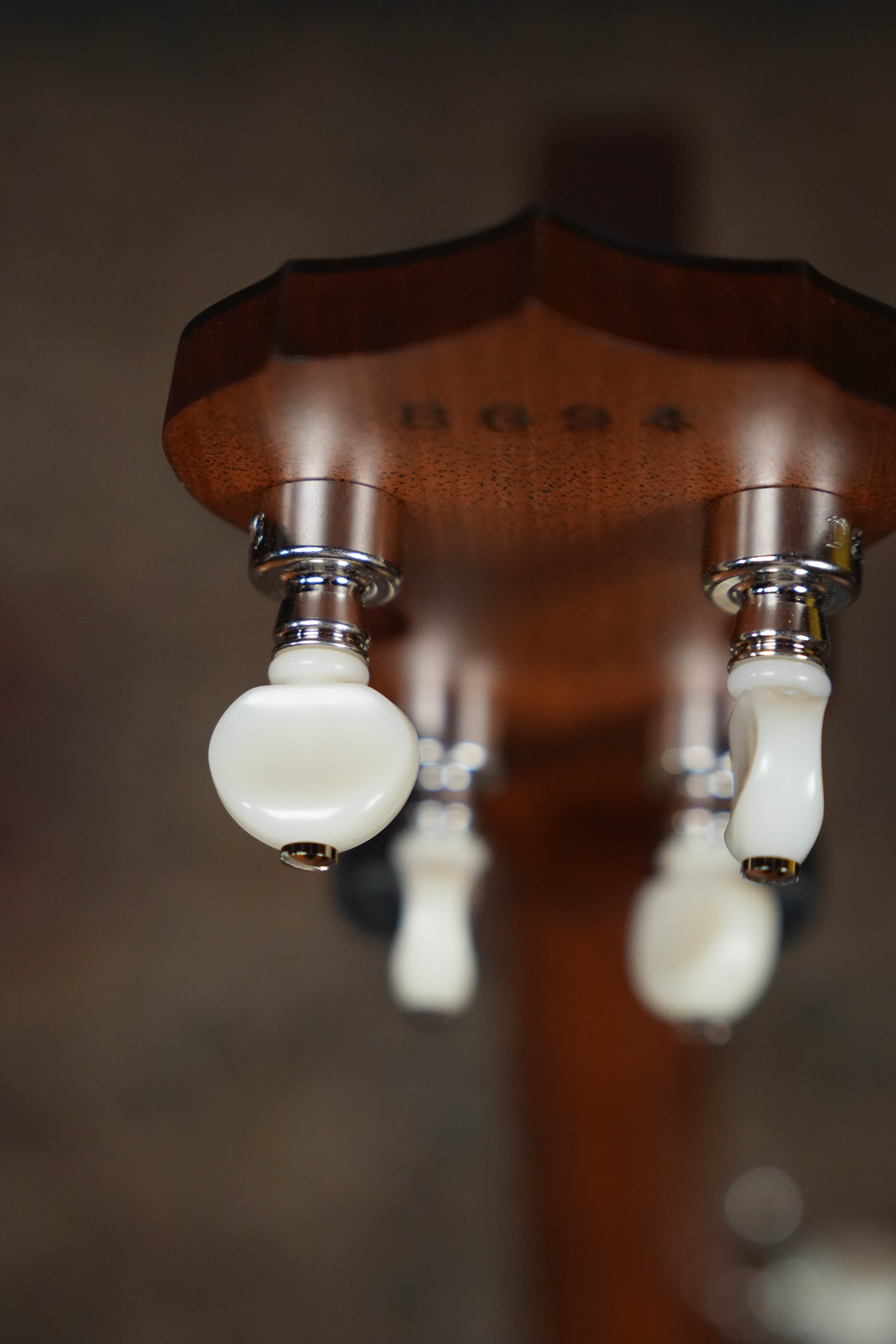 Deering Sierra 5 String Mahogany Resonator Banjo #BG94