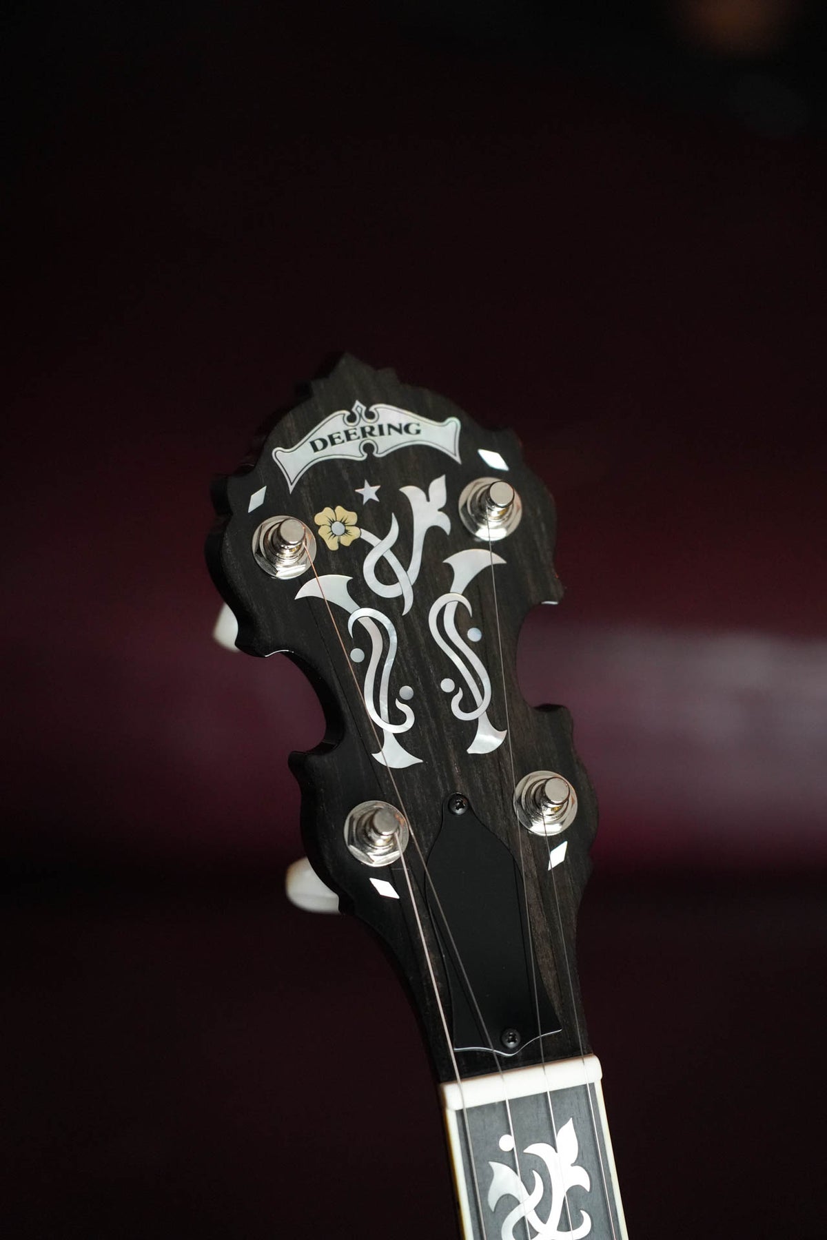 Deering Tenbrooks Saratoga Star 5 String Resonator Banjo w/Spikes Installed #0558