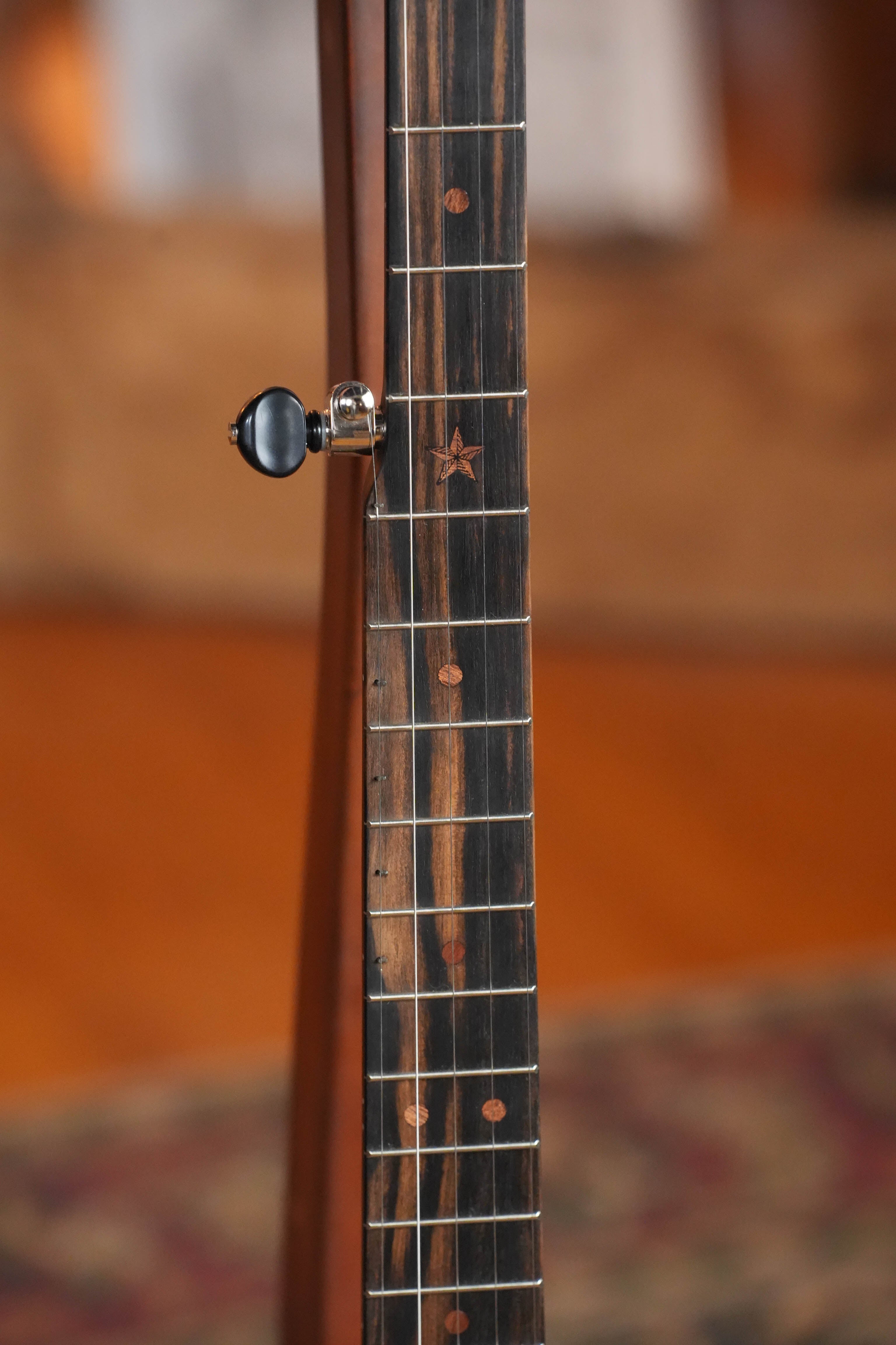 Deering Vega Vintage Star 5-String Openback Banjo w/Spikes #BE00