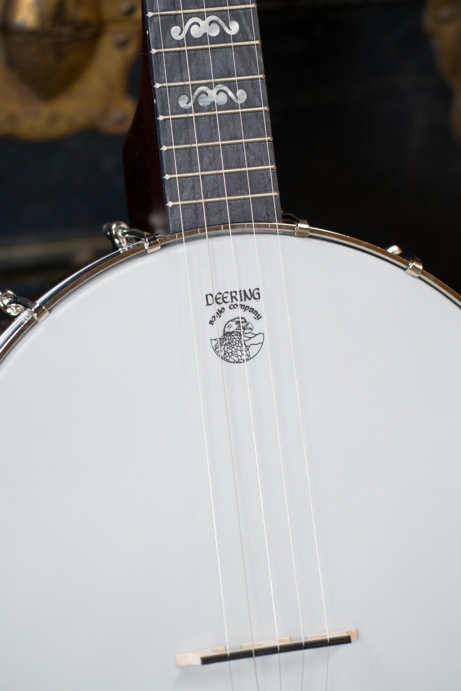 Deering Artisan Goodtime 5-String Openback Banjo #6251
