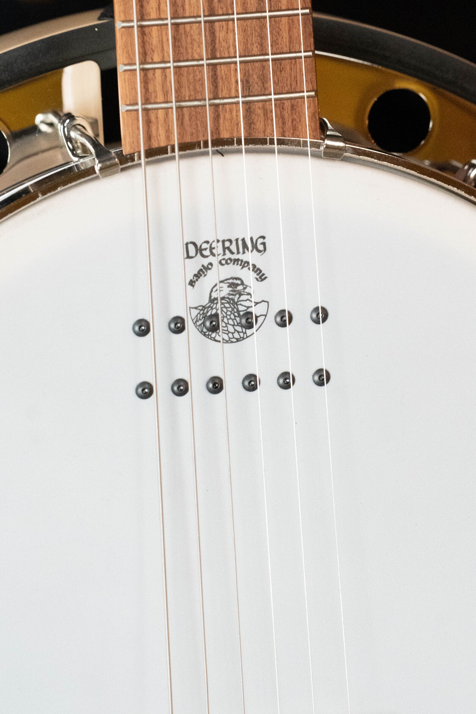 Close-up of a Deering Banjos Goodtime Six-R 6-String Resonator Banjo w/Kavanjo Pickup, showing part of the white drumhead with black Deering logo, strings, wooden fretboard, and resonator details.