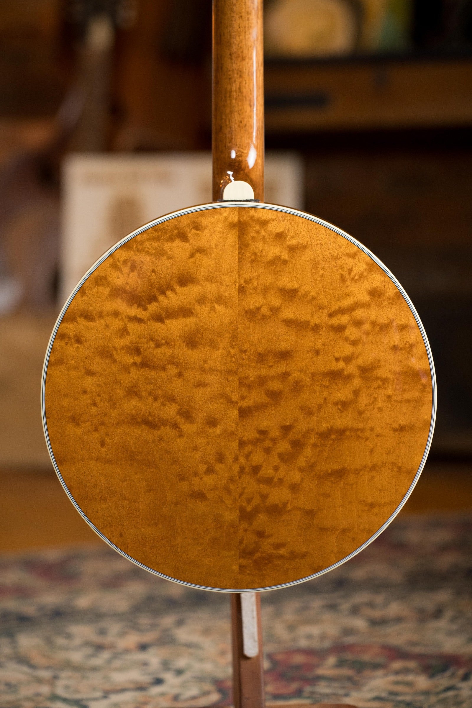 The image shows the back of a Deering Tony Trischka Silver Clipper Resonator Banjo by Deering Banjos, with a glossy, textured wooden surface. Spikes are installed at frets 7, 8, 9, and 10. The banjo rests on a patterned rug.