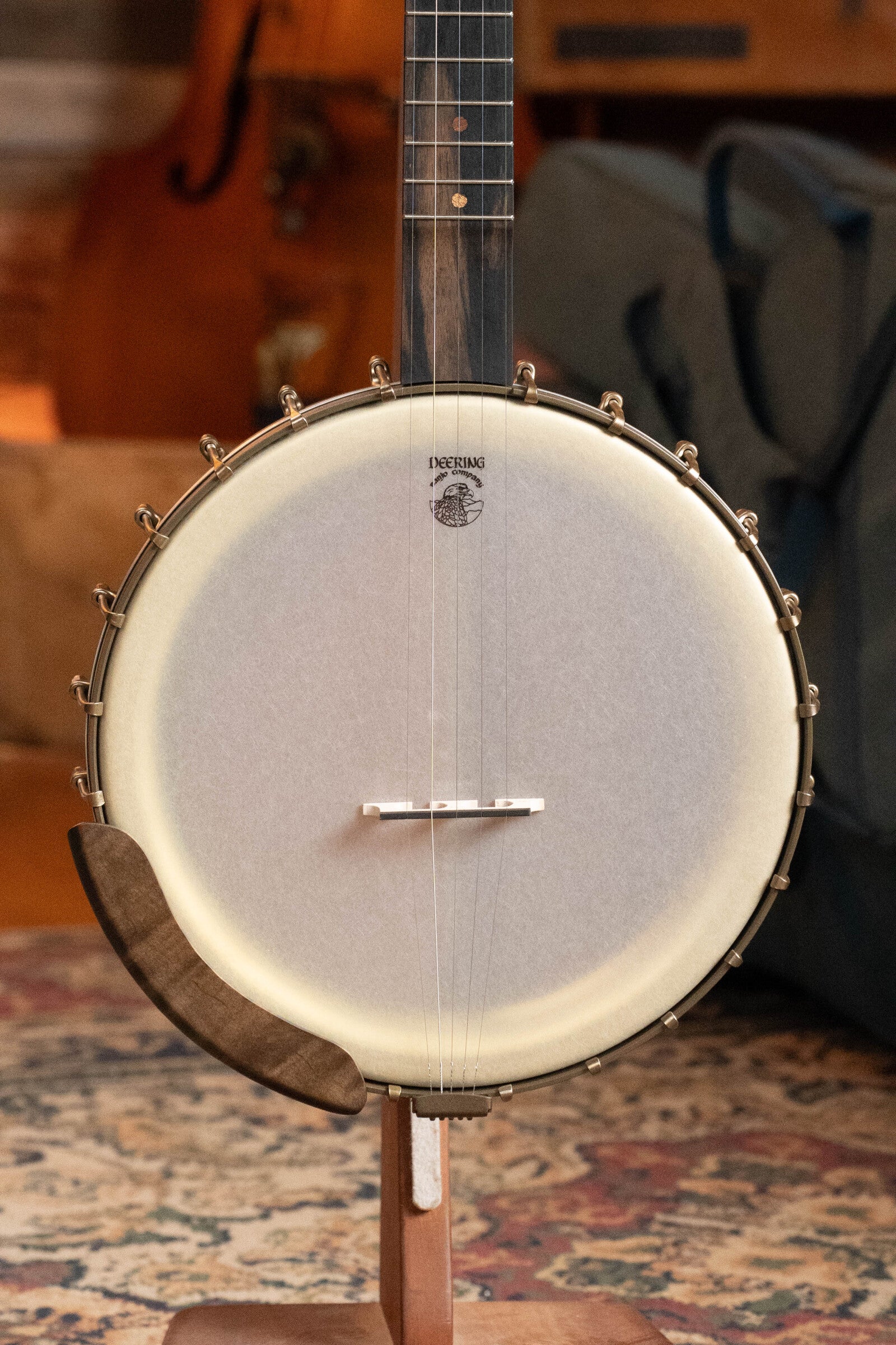 Deering Vega Vintage Star 5-String Openback Banjo w/Spikes #BB66