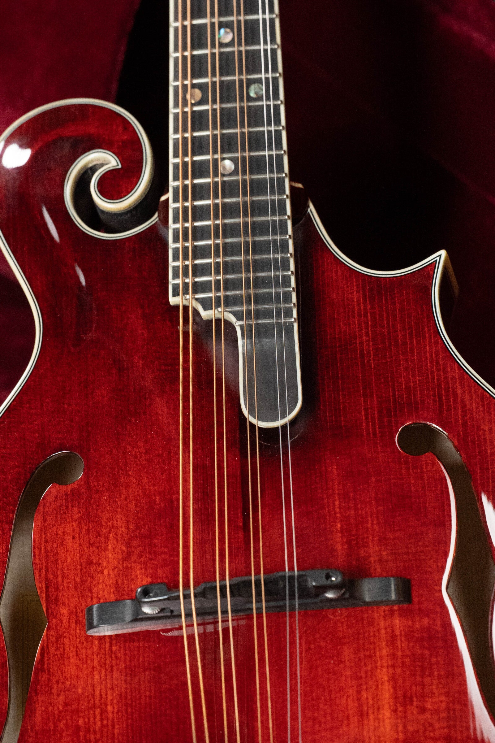 Close-up of a *Dread-Not Certified Used* Eastman MDA815 F-Style Mandola Classic Finish #4978 by Eastman Guitars, featuring ornate scrollwork, f-holes, strings over a black bridge, and a solid spruce top against a dark background.