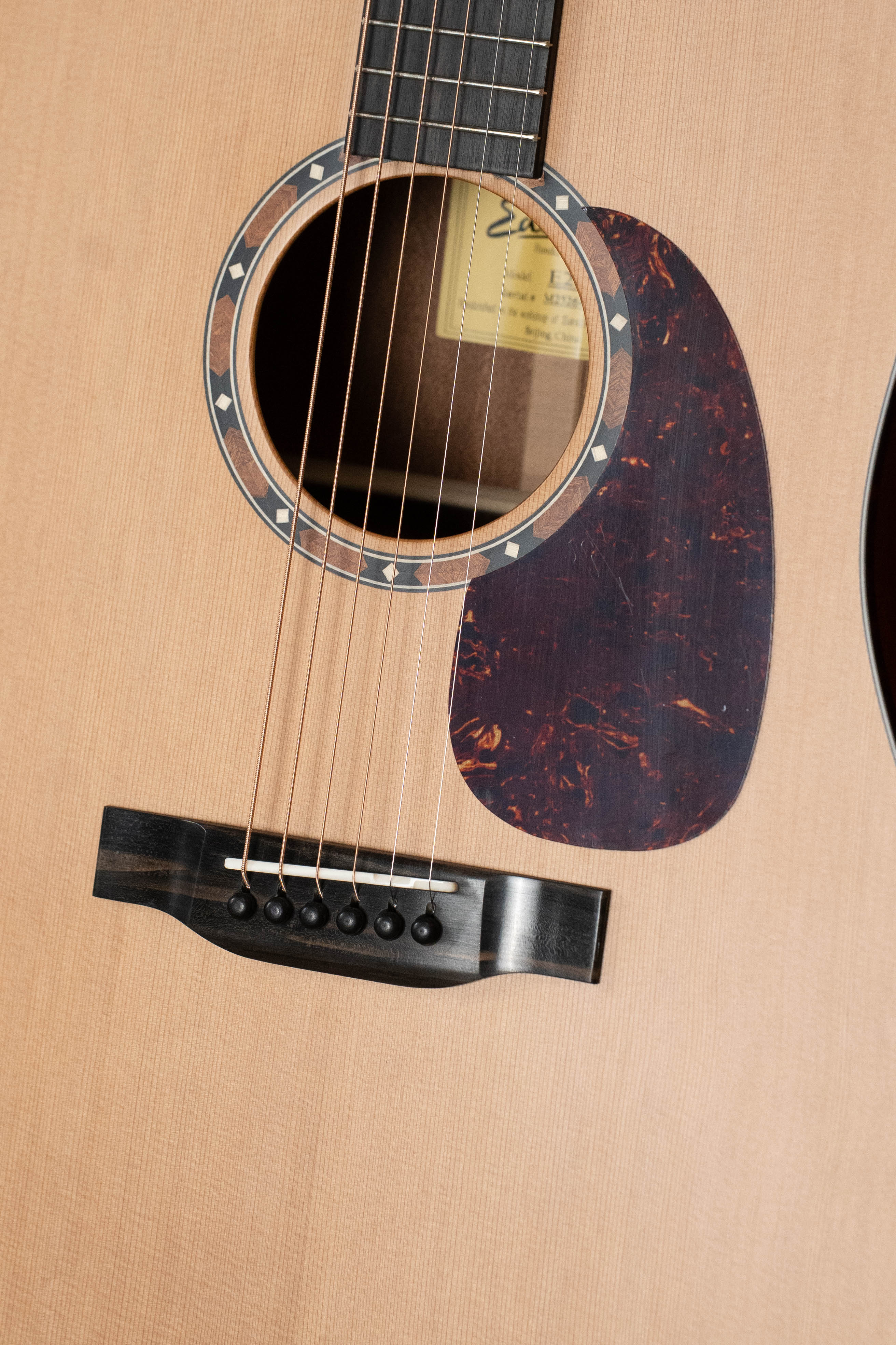 Eastman E2D Cedar/Sapele Dreadnought Acoustic Guitar #6418