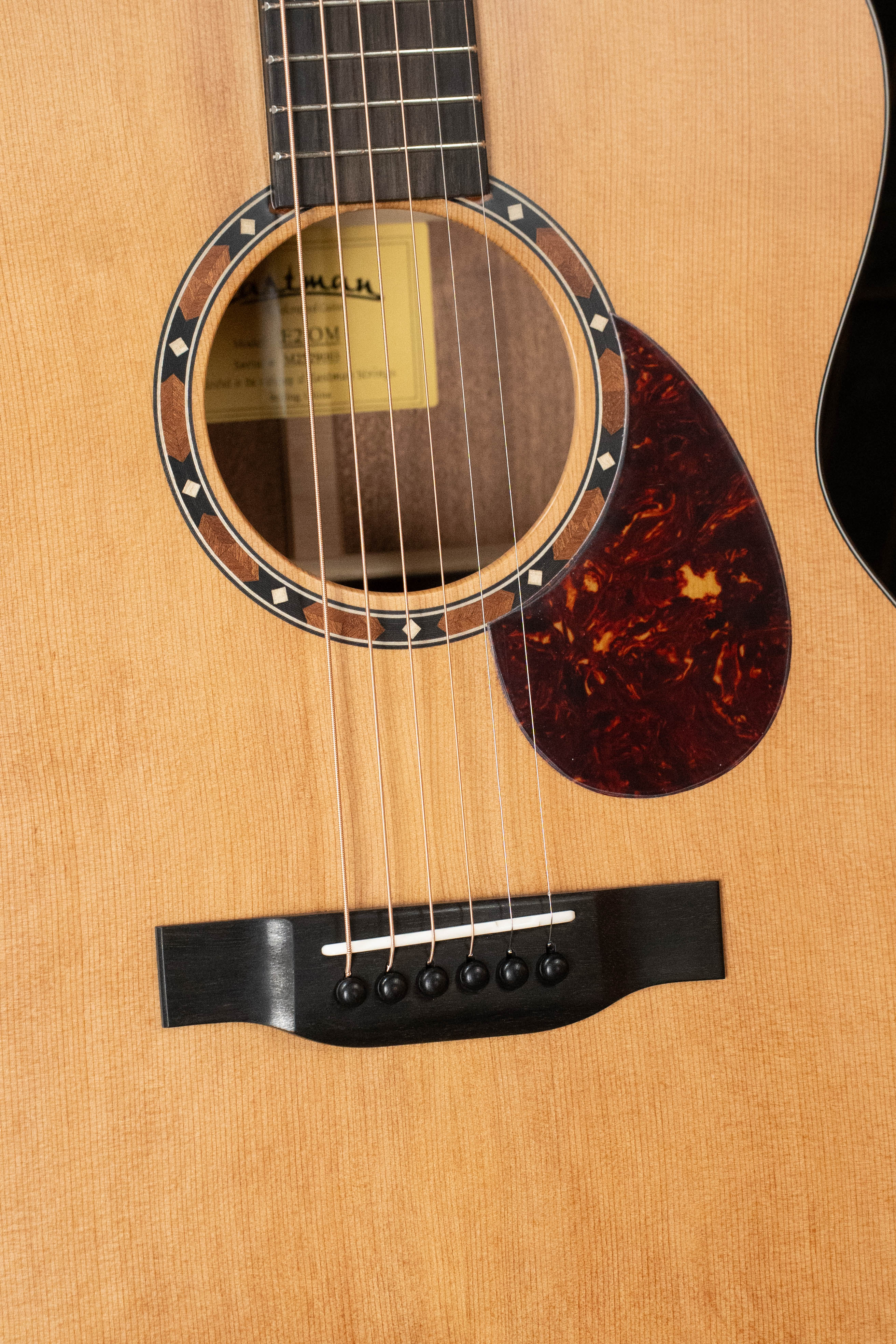 Eastman E2OM Cedar/Sapele Orchestra Model Acoustic Guitar #9003