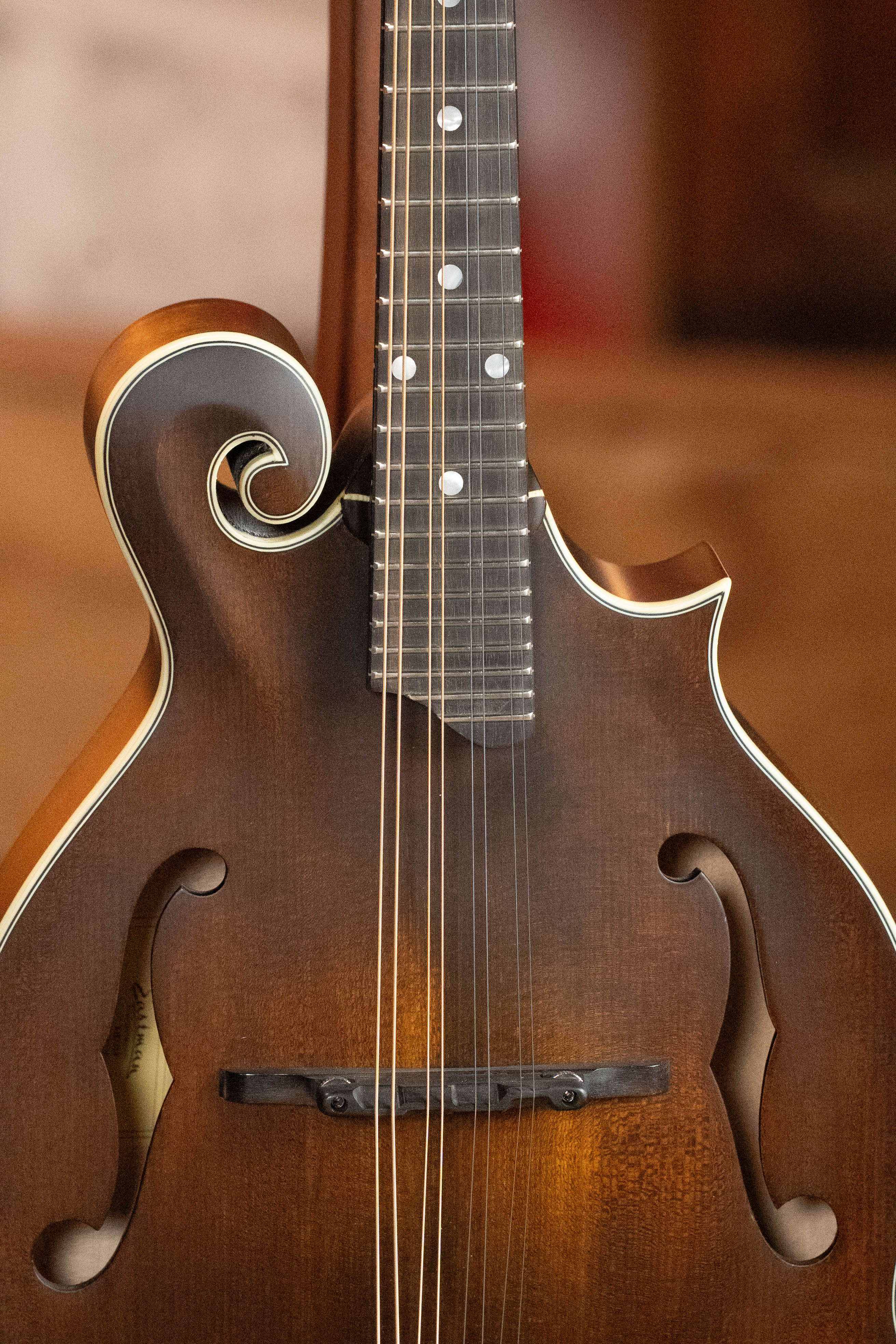 Eastman MD315 F-Style Hand-Carved Mandolin #0907