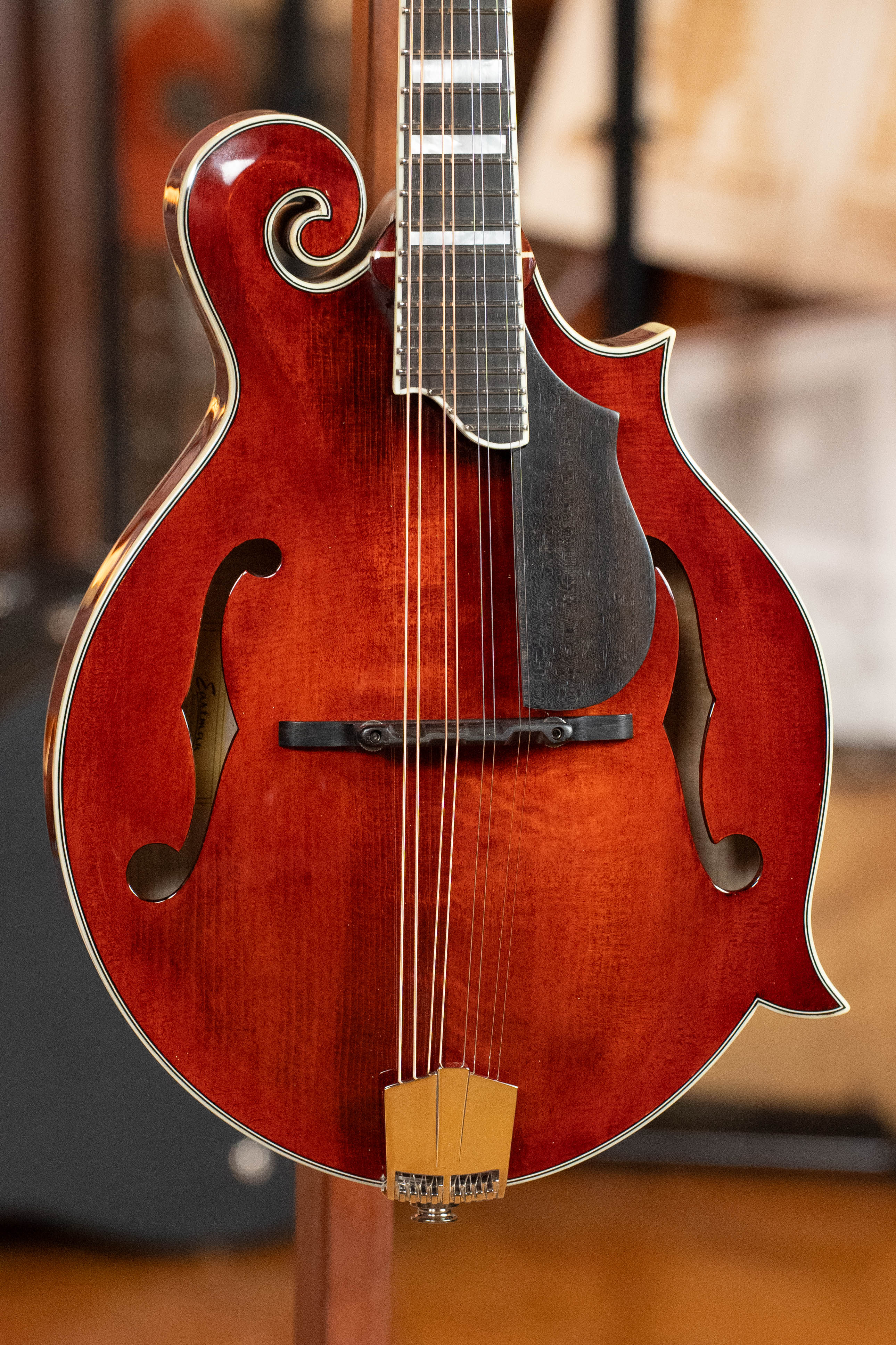 A close-up of the Eastman Guitars MD615 Spruce/Maple F-Style Mandolin w/K&K Pickup #3918 highlights its reddish-brown finish, f-holes, elegant curves, strings, bridge, and neck against a softly blurred background.