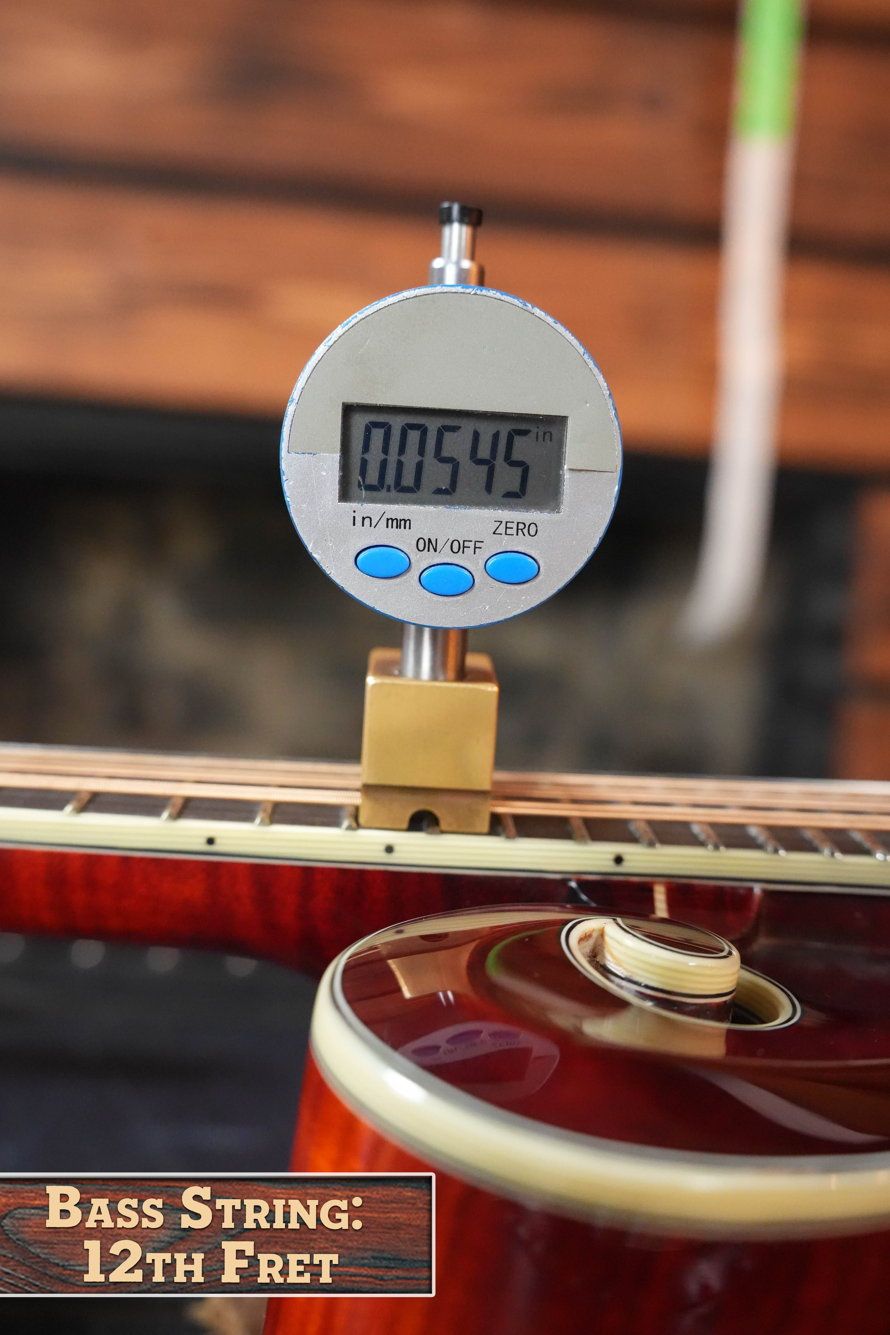 Eastman MDA815 F-Style Mandola #5756