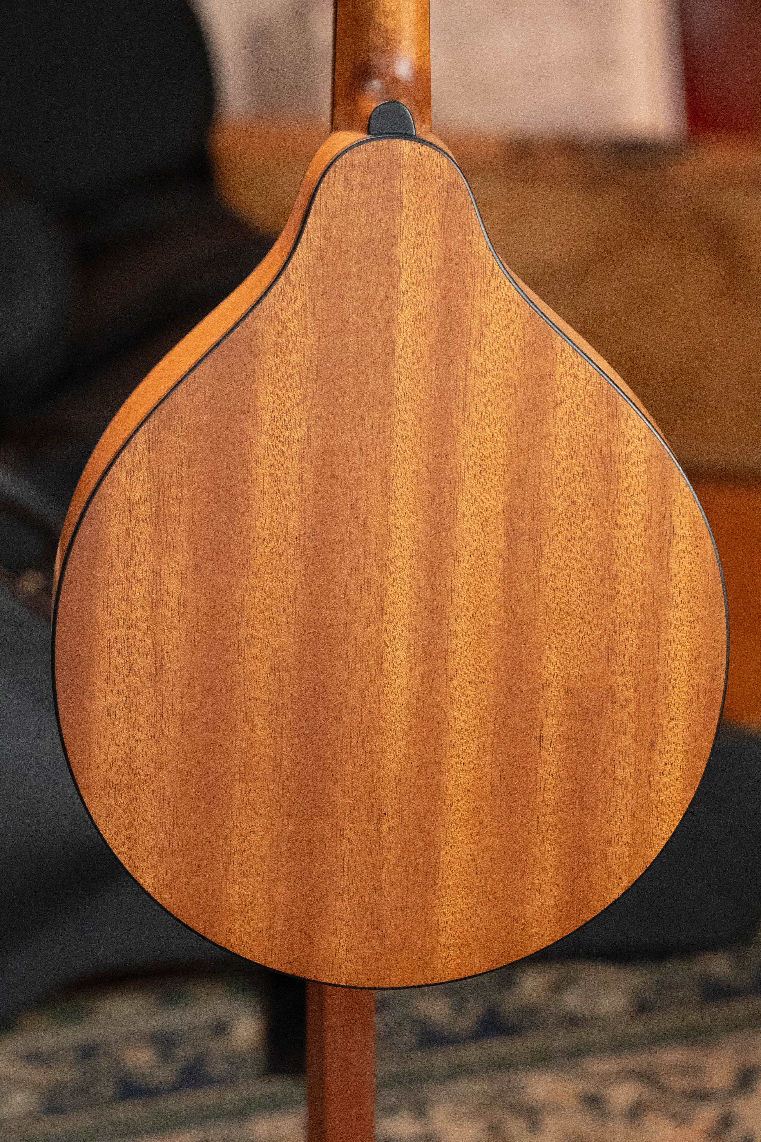 Eastman PCH-M104-GB Solid Spruce/Laminated Mahogany Goldburst Flattop A-Style Mandolin #1876