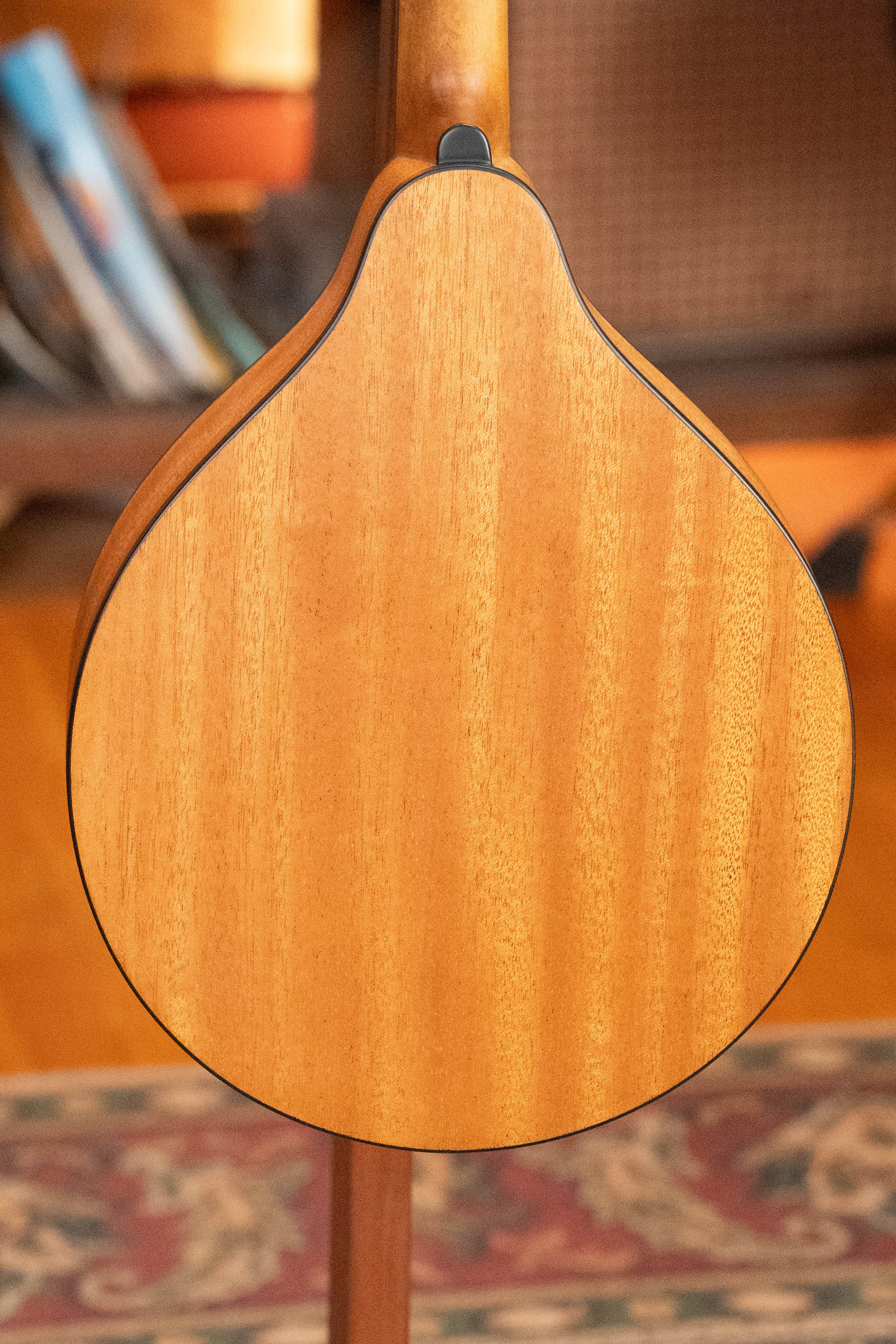 Eastman PCH-M104 Solid Spruce/Laminated Mahogany Flattop A-Style Mandolin #1521
