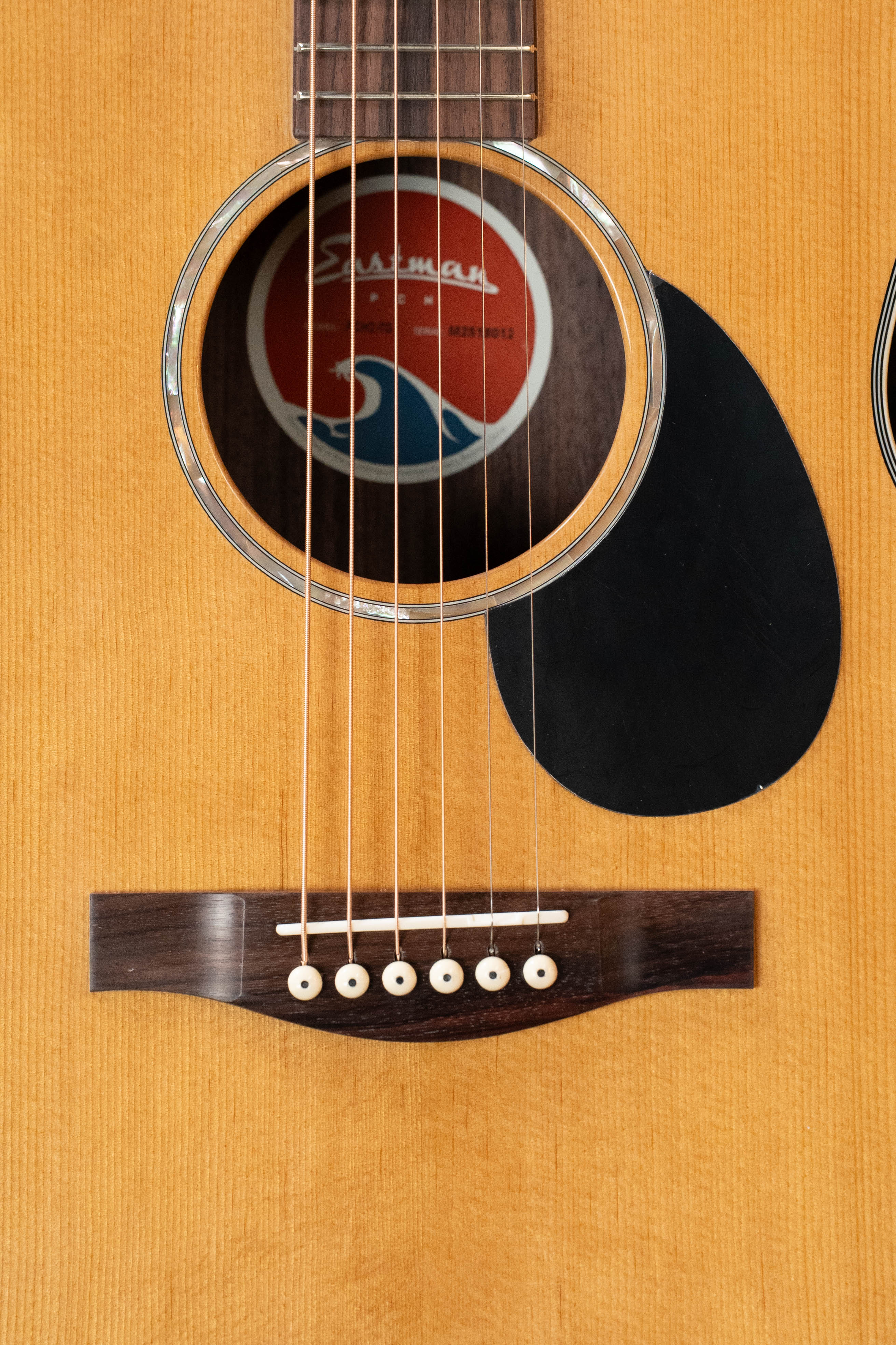 Eastman PCH2-TG Thermo-Cured Solid Sitka/Laminated Rosewood Travel Acoustic Guitar #8012