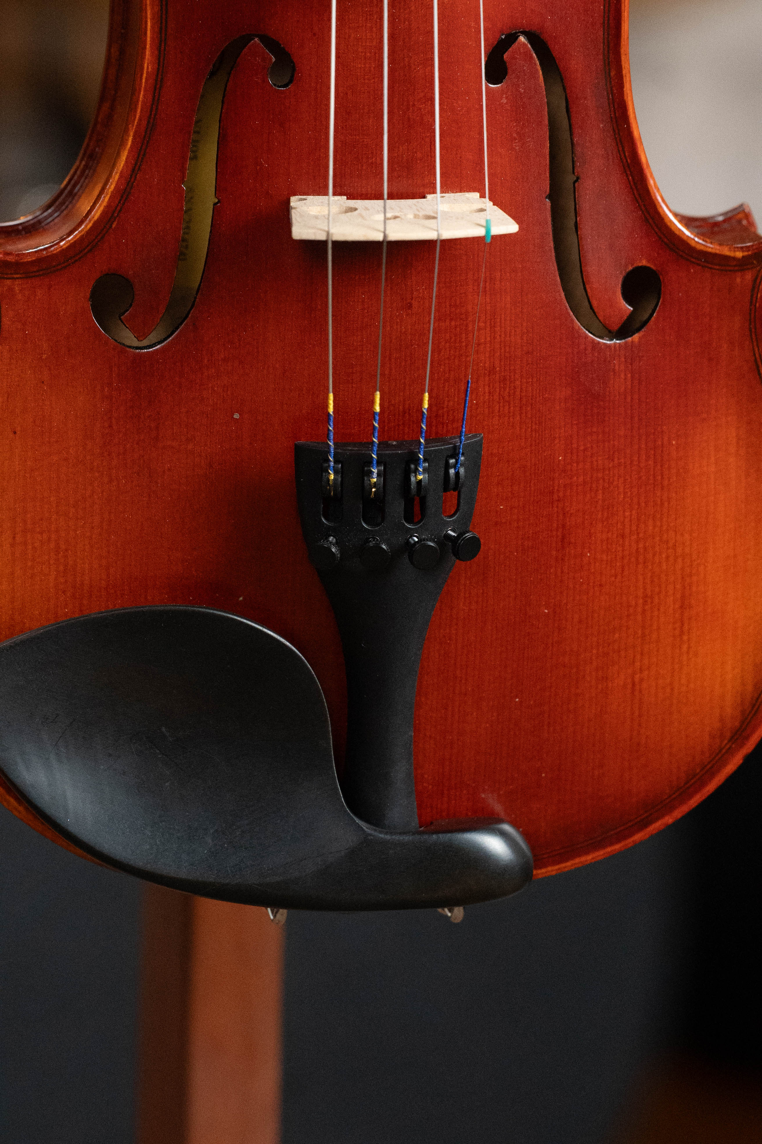 Eastman Spruce/Maple 4/4 Sized Stradivari Violin VLF1 Kit #4741