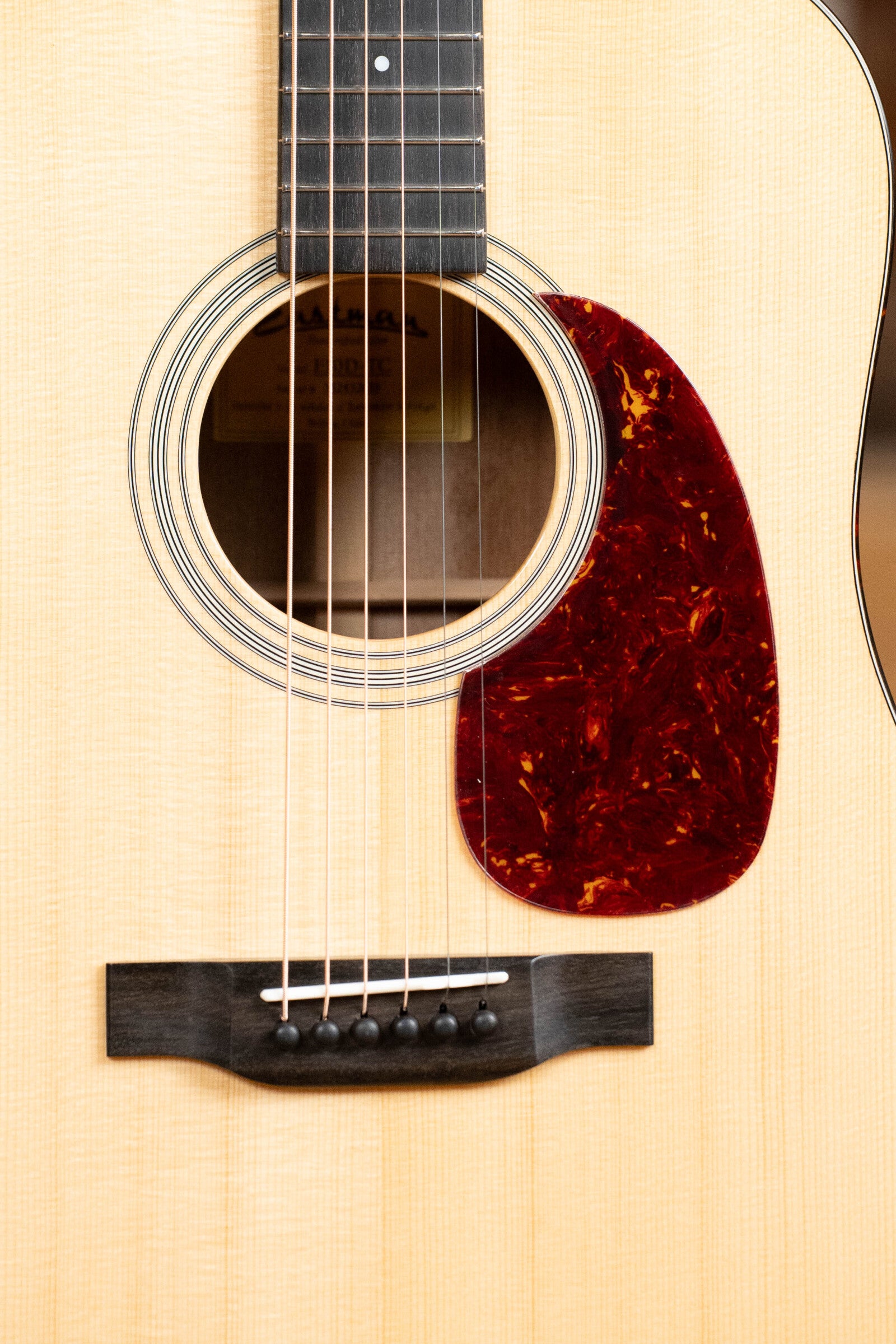 Eastman E10D-TC Thermo-Cured Adirondack Spruce/Mahogany Dreadnought Acoustic Guitar #2656