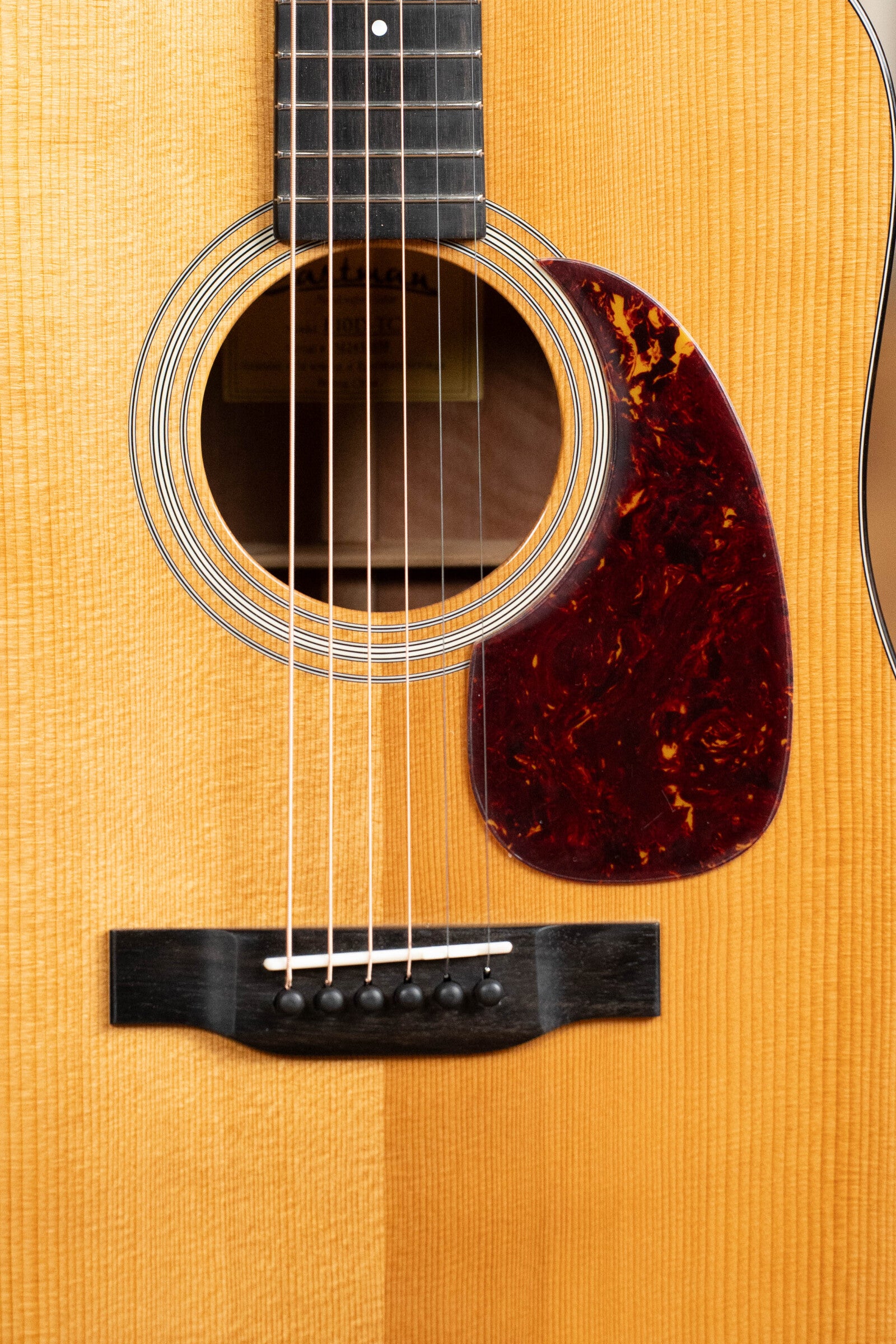 Eastman E10D-TC Thermo-Cured Adirondack Spruce/Mahogany Dreadnought Acoustic Guitar #2659