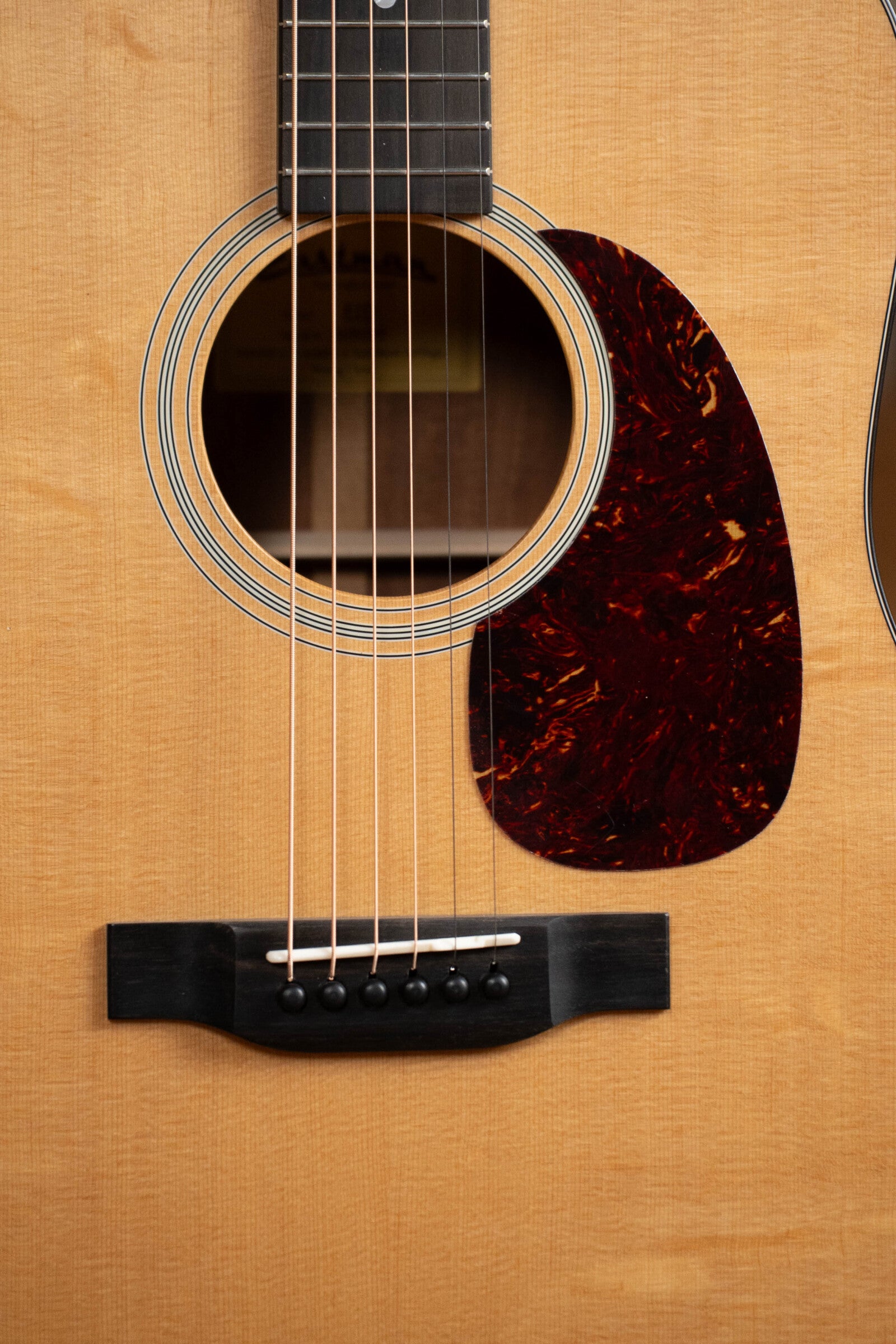 Eastman E1D Sitka/Sapele Dreadnought Acoustic Guitar #7345