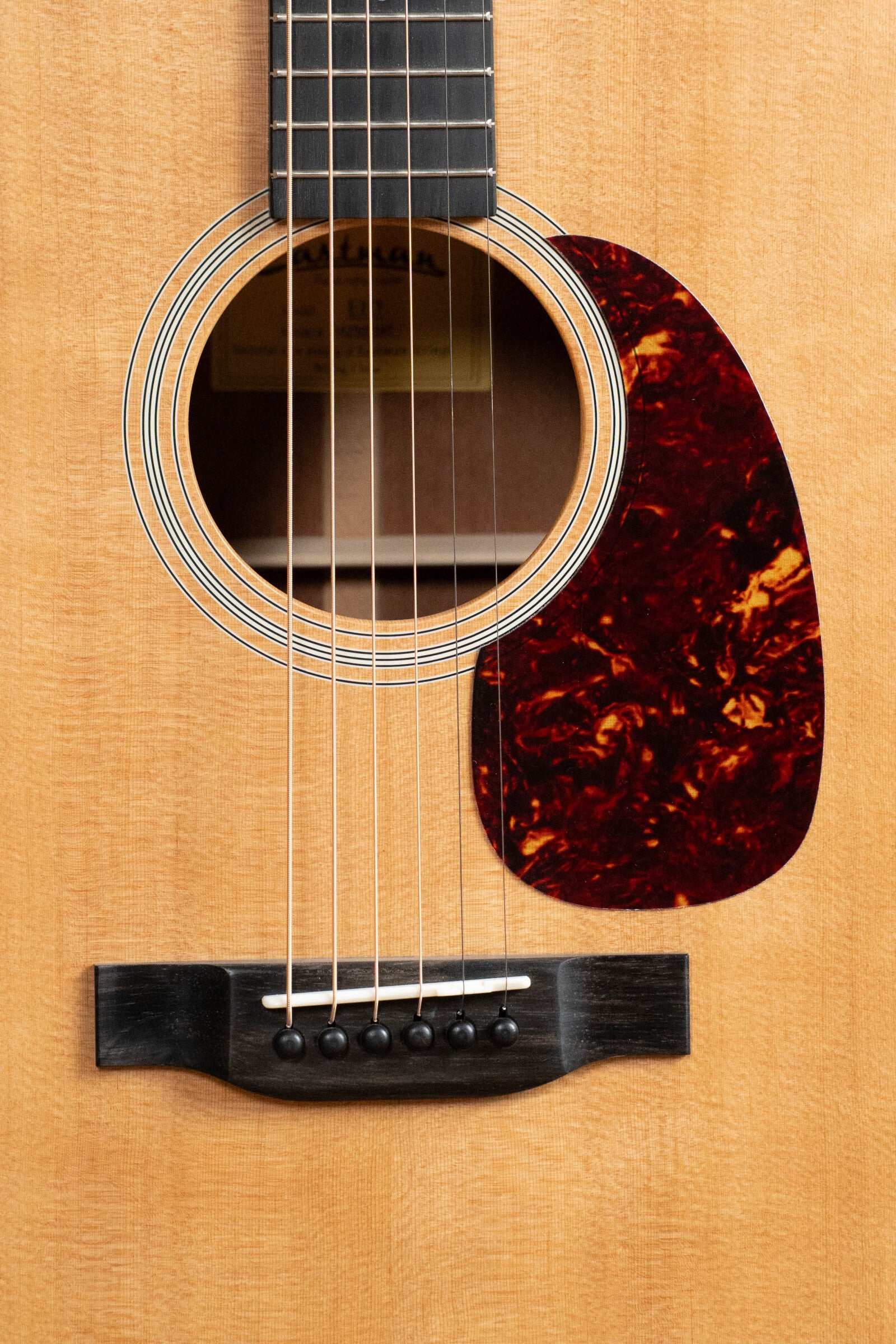 Eastman E1D Sitka/Sapele Dreadnought Acoustic Guitar #7347