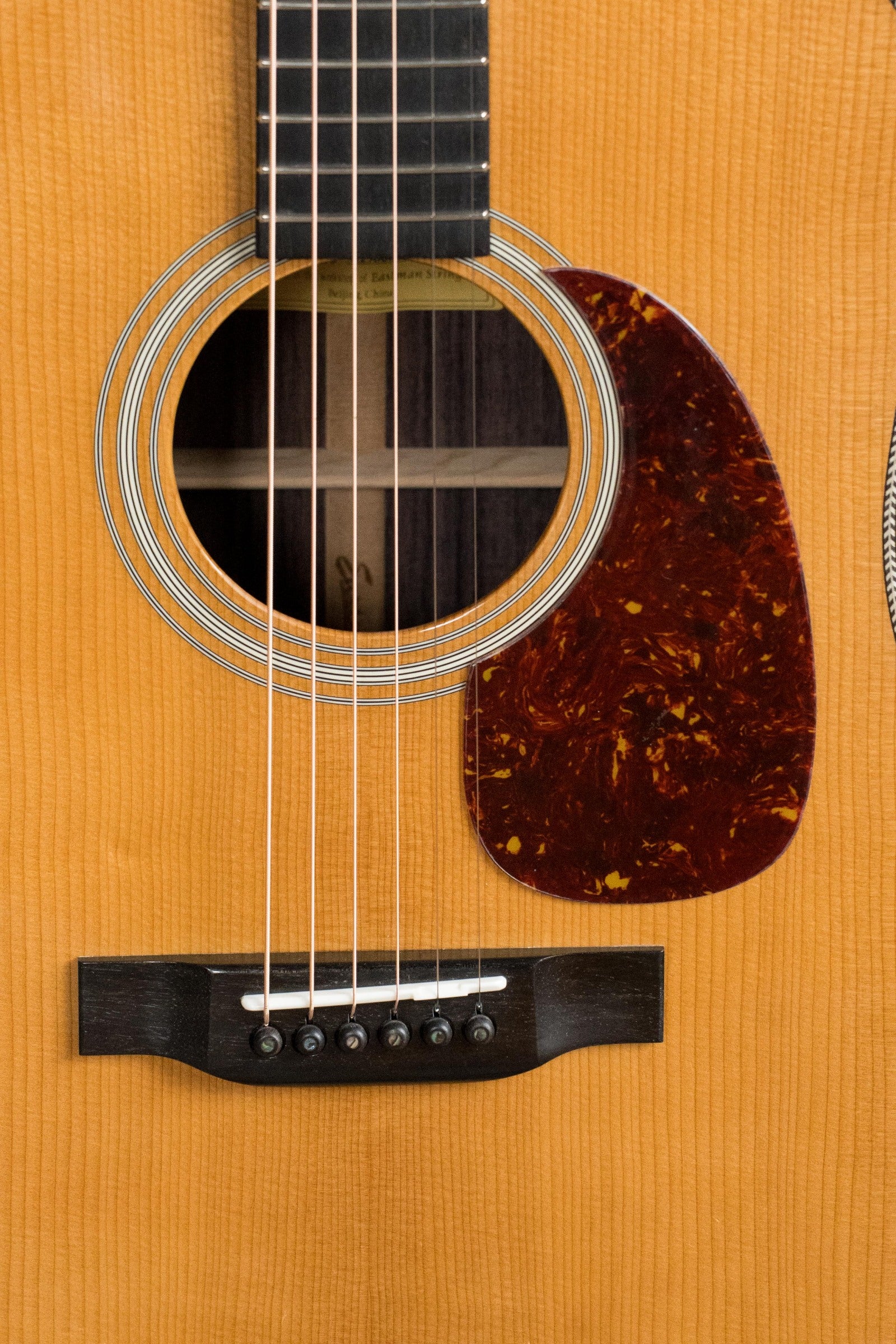 Eastman E20D-TC Thermo-Cured Adirondack/Rosewood Dreadnought Acoustic Guitar #6001