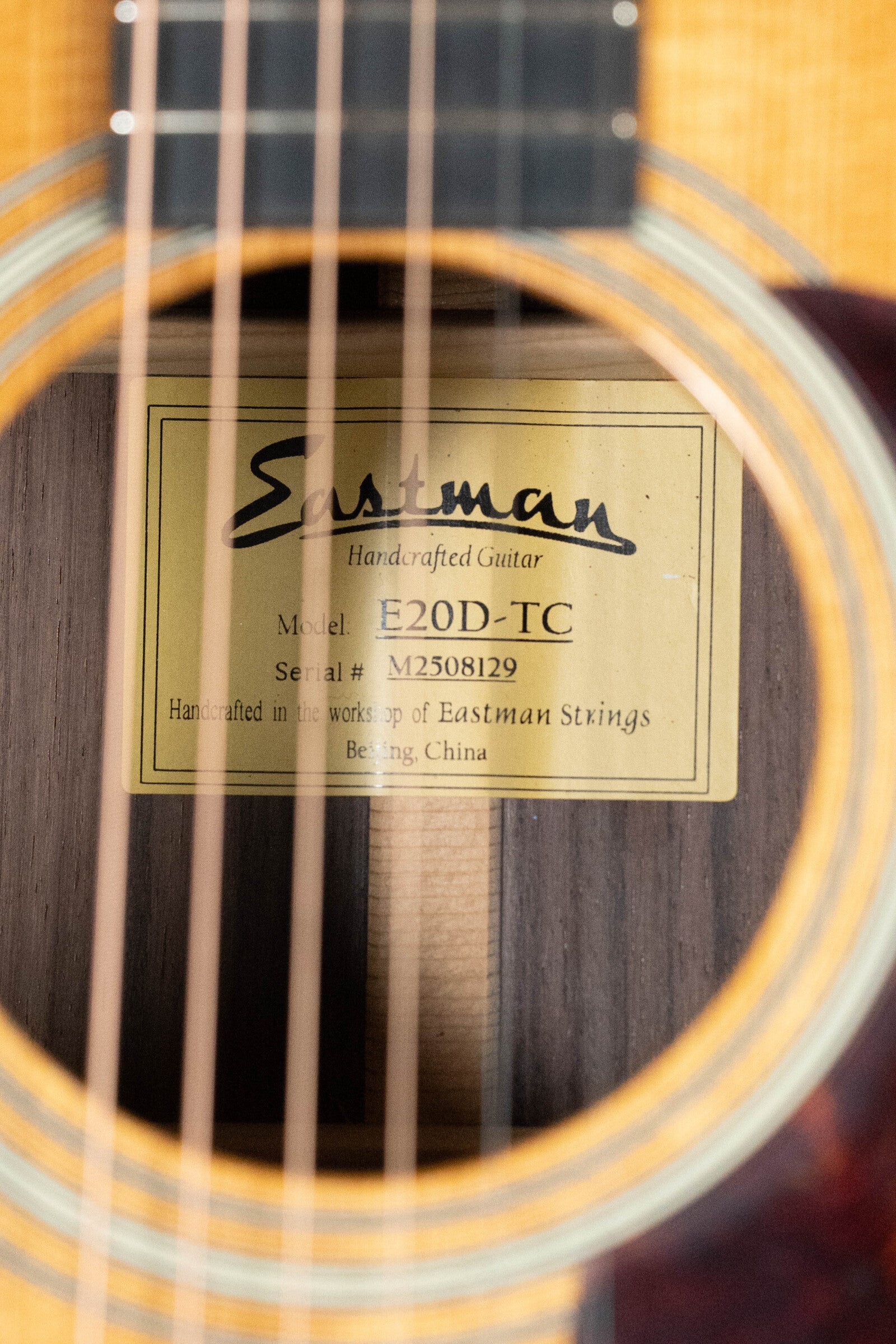 Eastman E20D-TC Thermo-Cured Adirondack/Rosewood Dreadnought Acoustic Guitar #8129