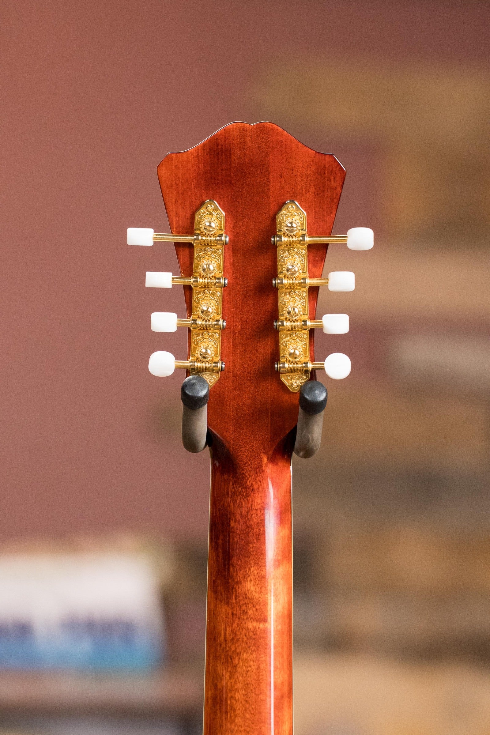 Eastman MDC805 Archtop Mandocello with Classic Finish #1800