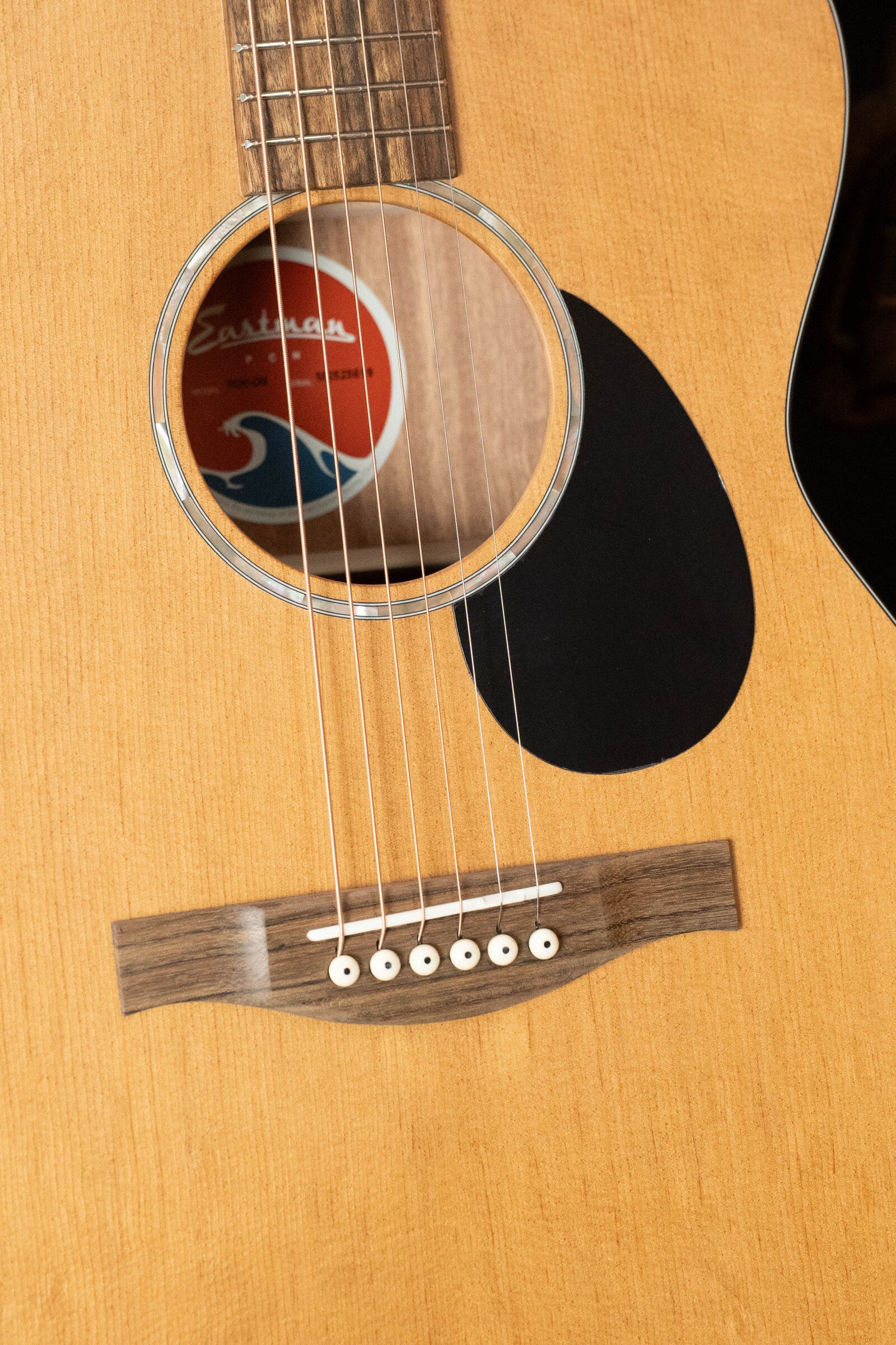 Eastman PCH1-OM Thermo-Cured Sitka/Laminated Sapele Orchestra Model Acoustic Guitar #5619